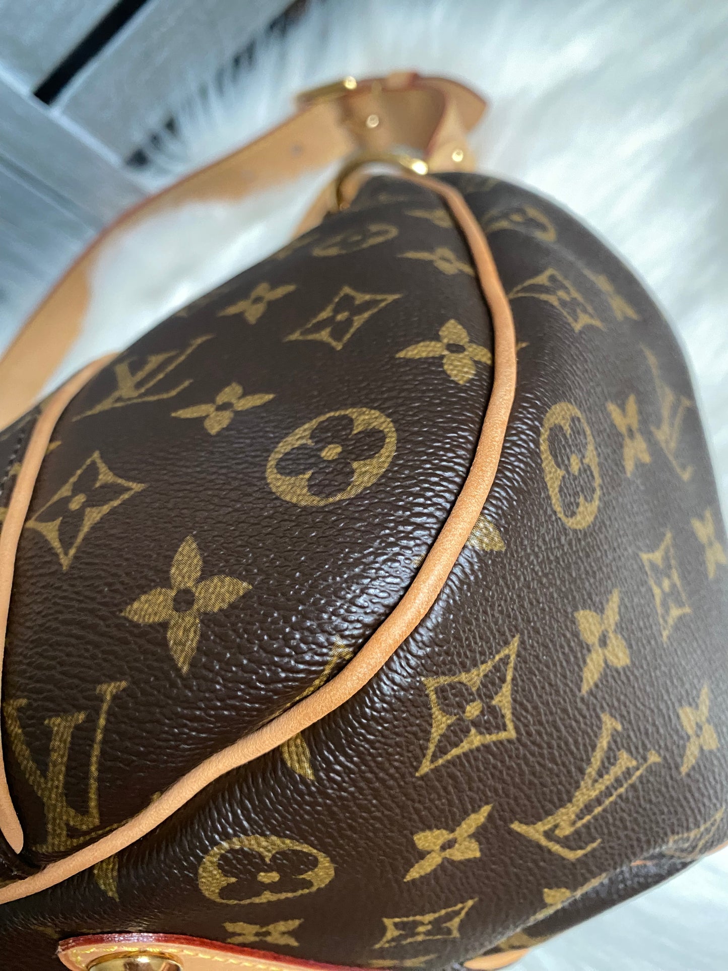Louis Vuitton Galliera PM Monogram