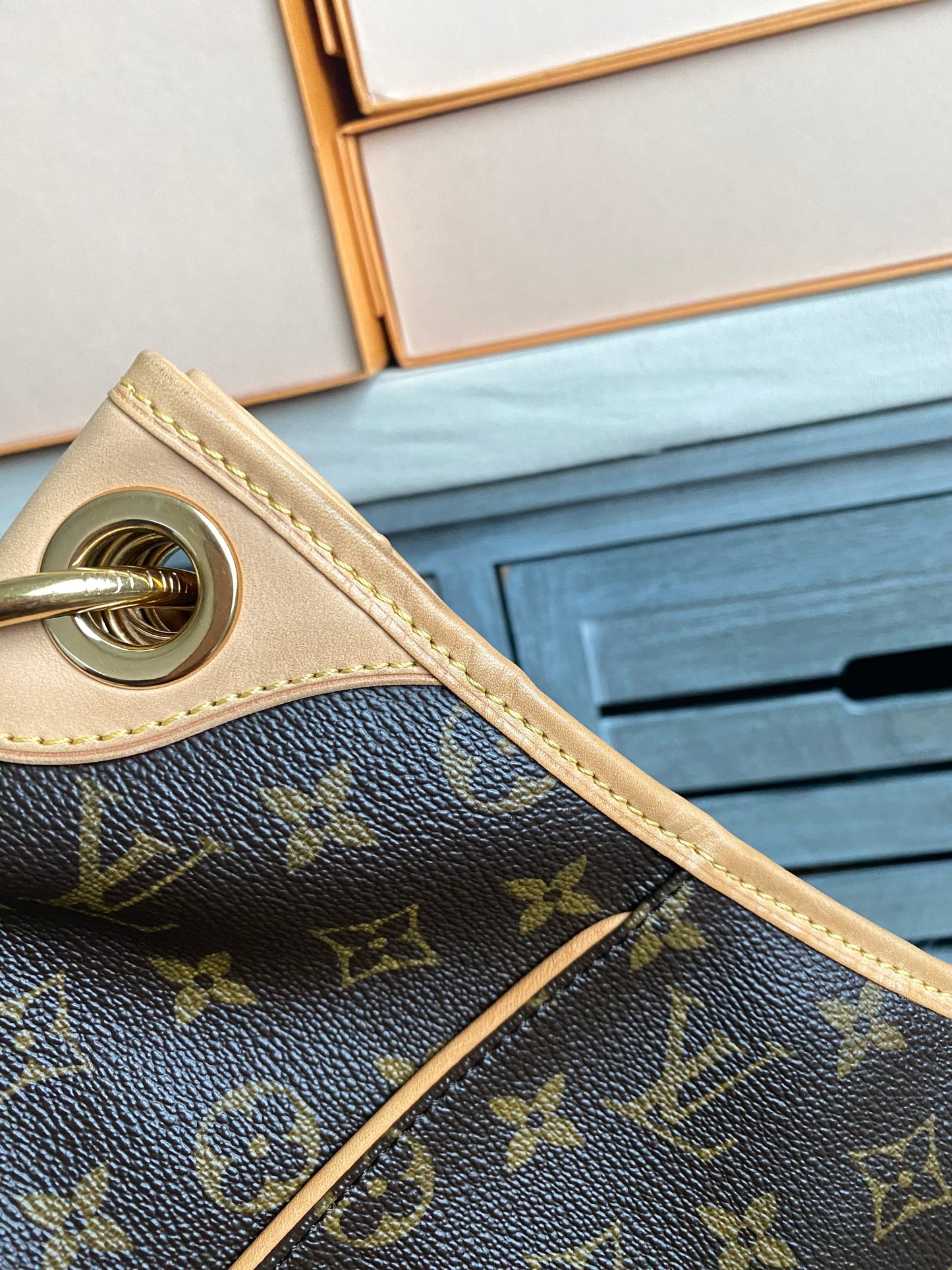 Louis Vuitton Galliera PM Monogram