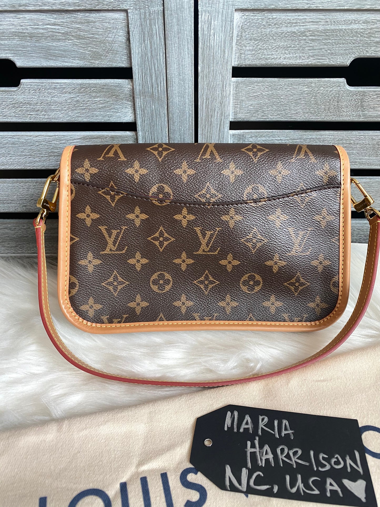 Louis Vuitton Monogram Diane