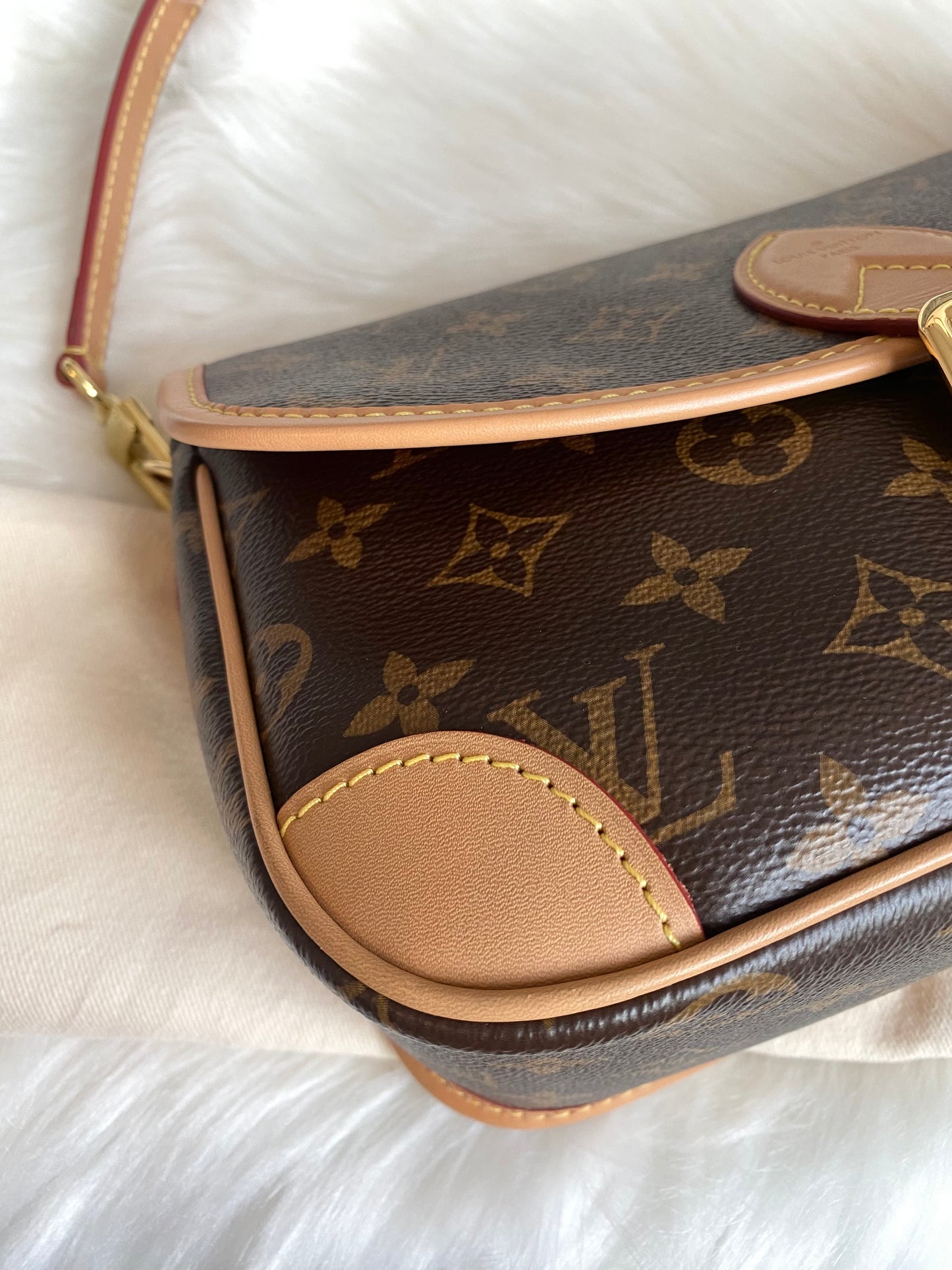 Louis Vuitton Monogram Diane