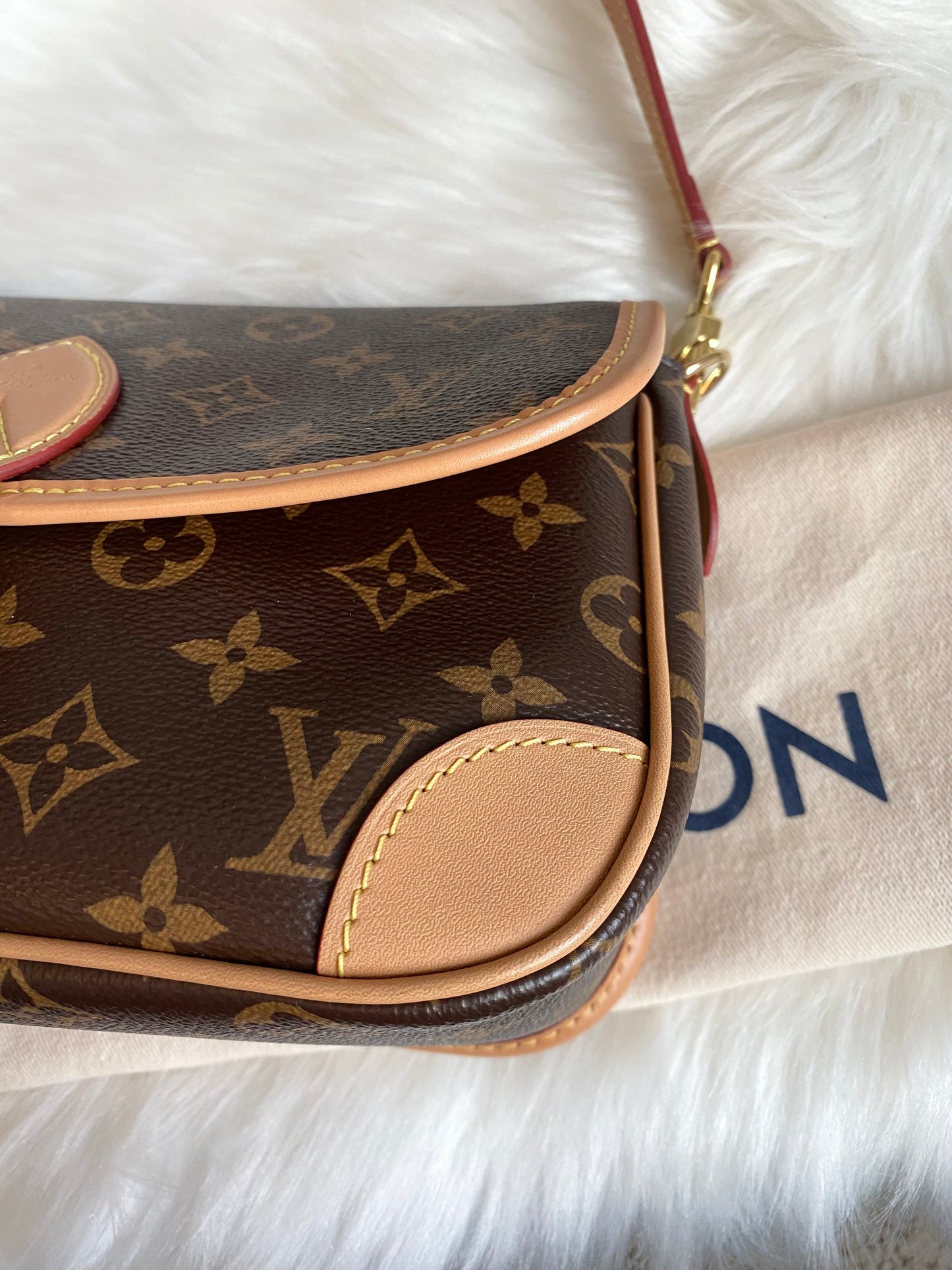 Louis Vuitton Monogram Diane