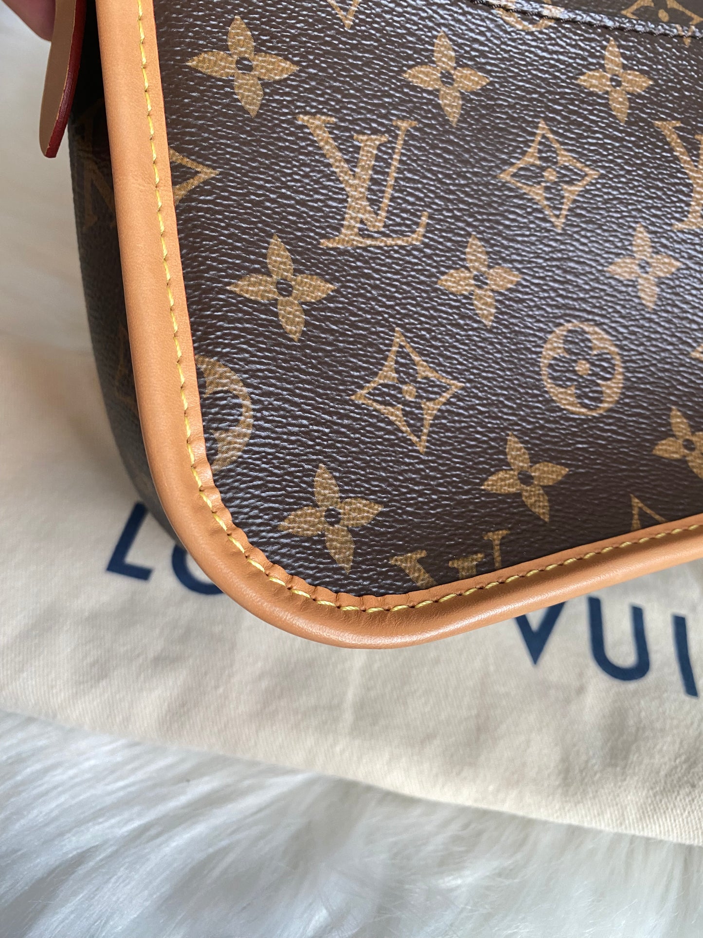 Louis Vuitton Monogram Diane