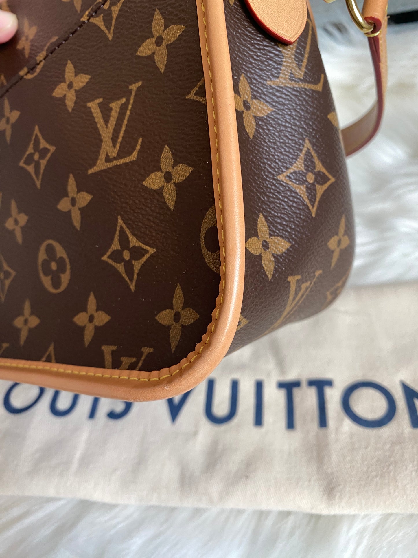 Louis Vuitton Monogram Diane