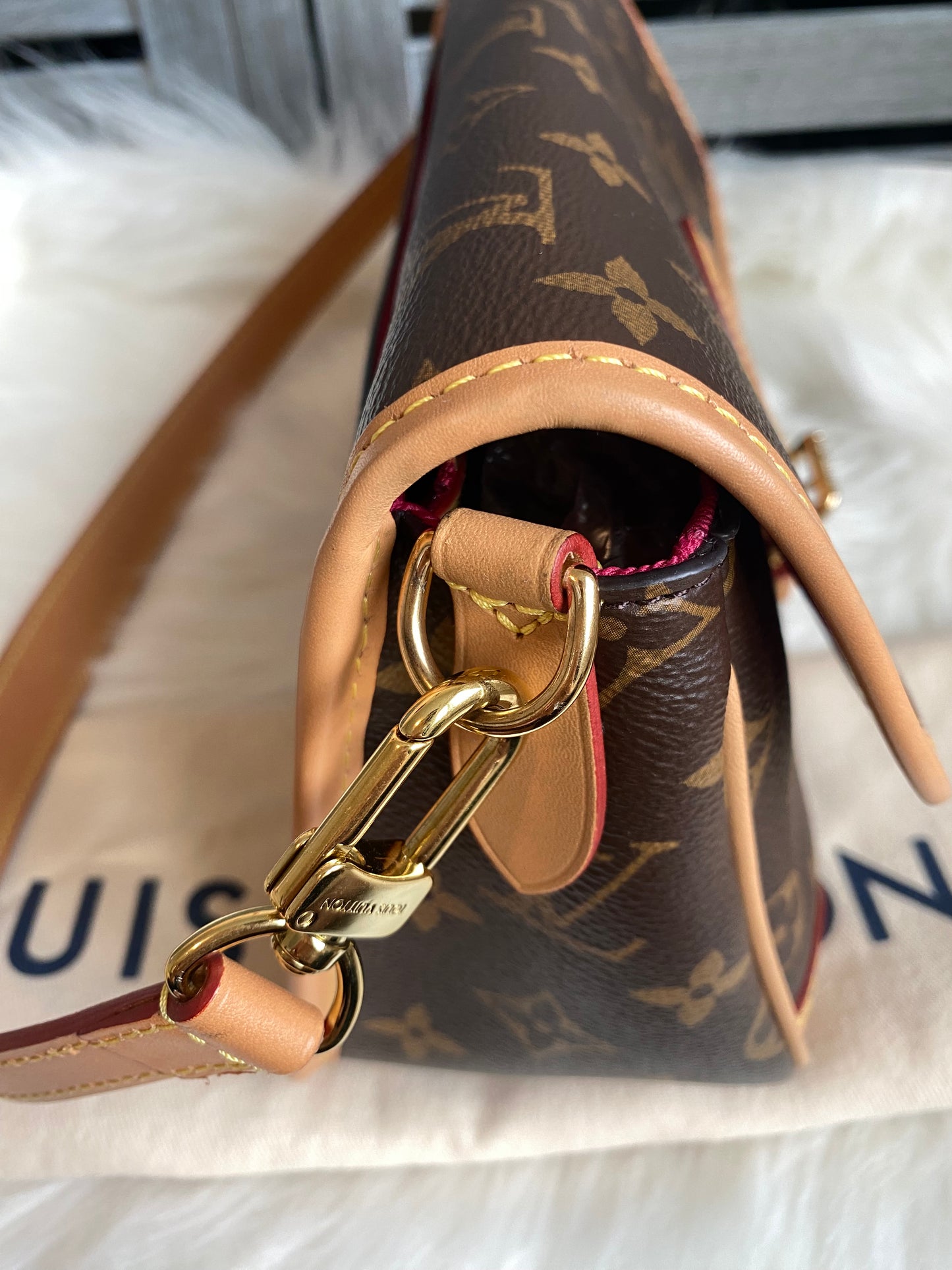 Louis Vuitton Monogram Diane