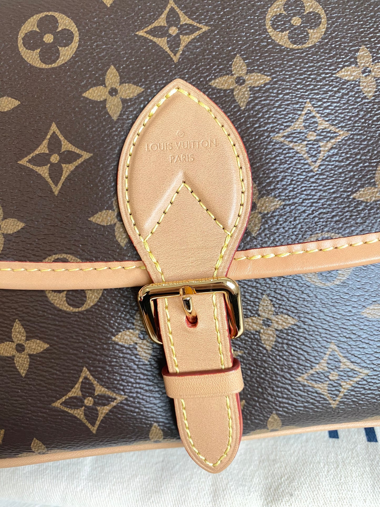 Louis Vuitton Monogram Diane