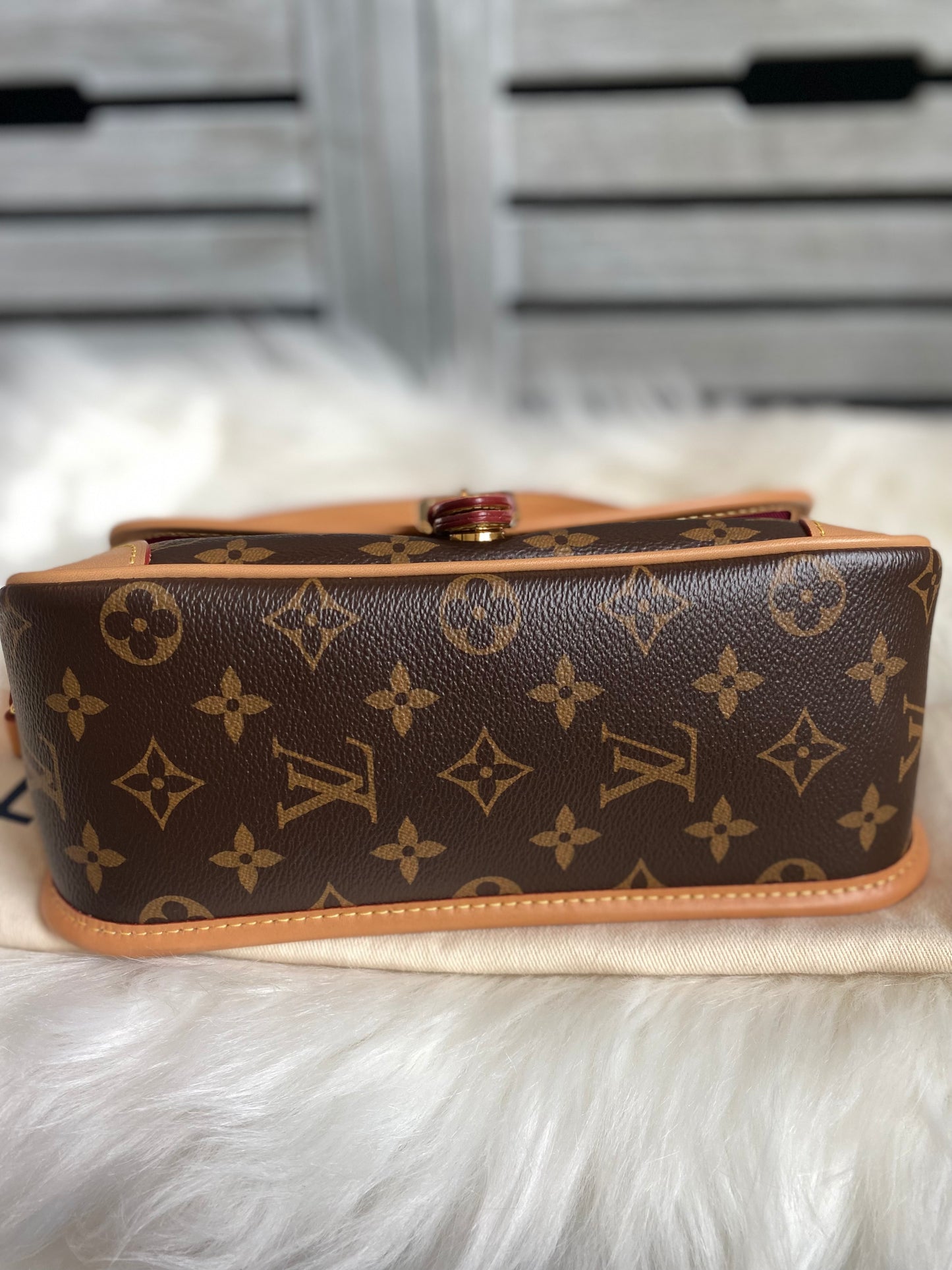 Louis Vuitton Monogram Diane
