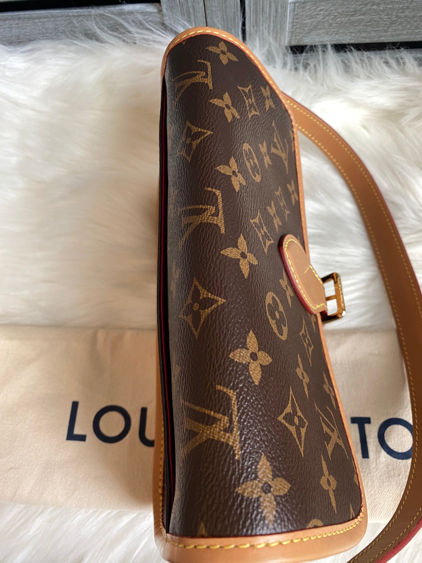 Louis Vuitton Monogram Diane