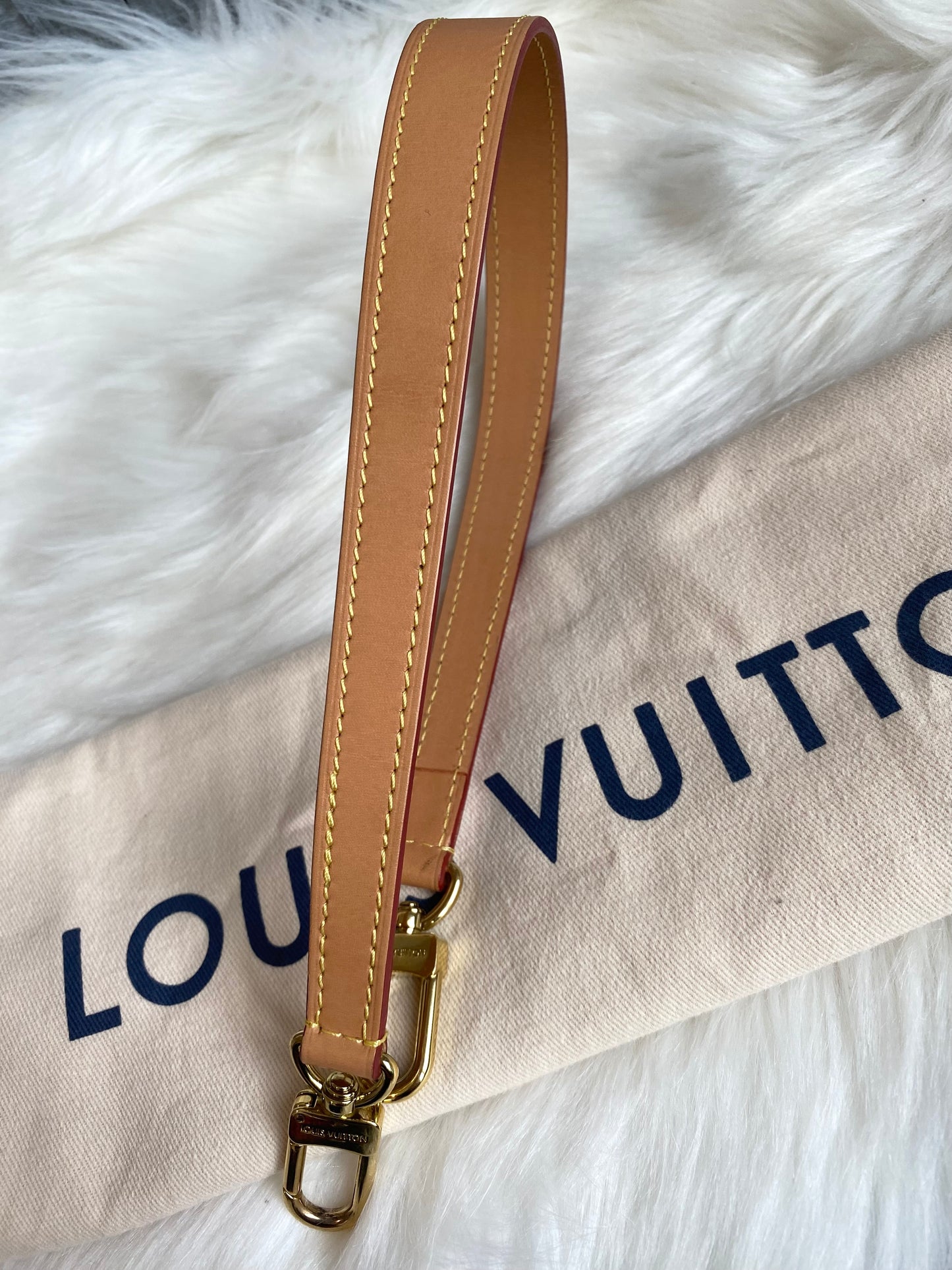 Louis Vuitton Monogram Diane