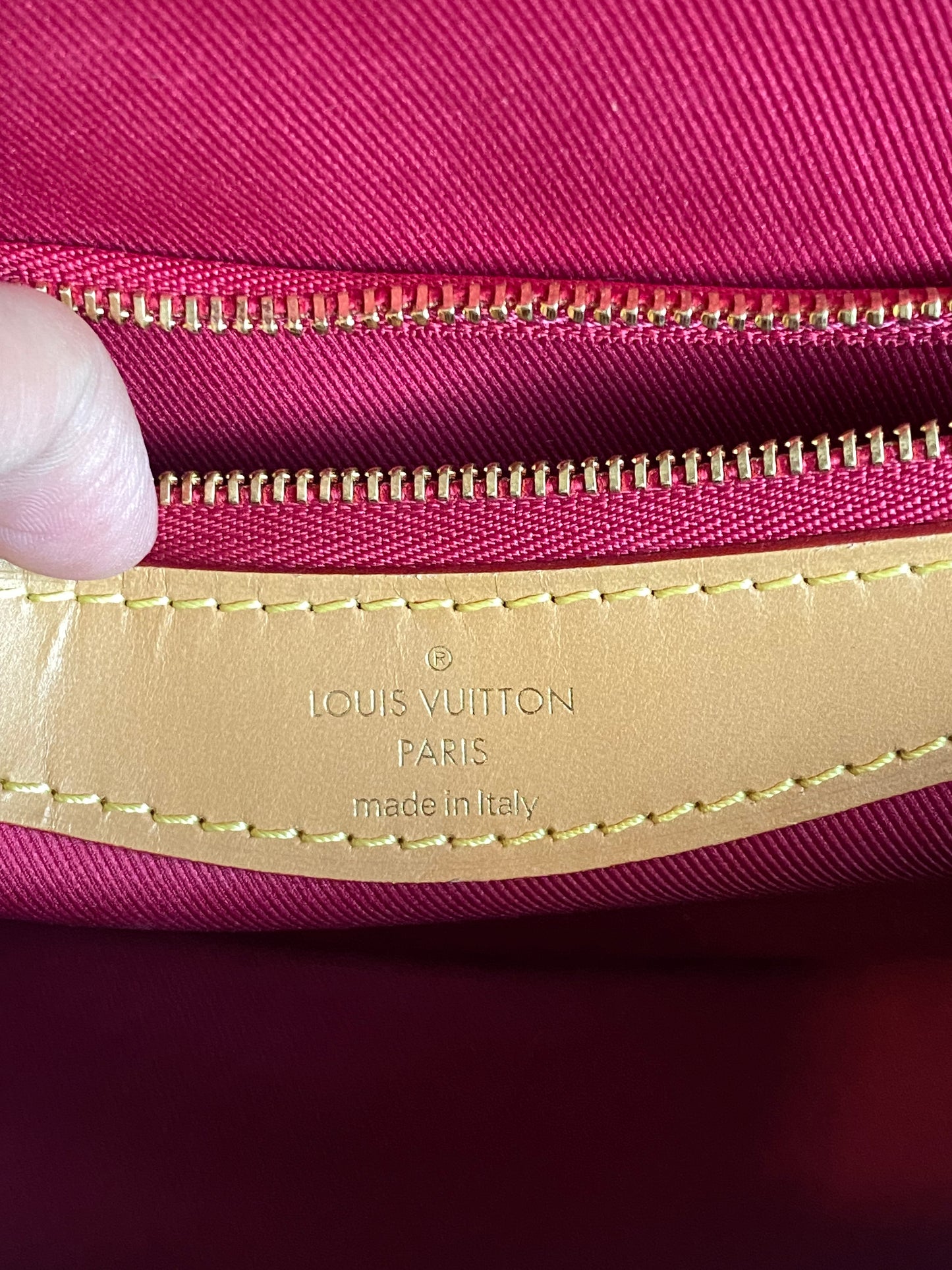 Louis Vuitton Monogram Diane