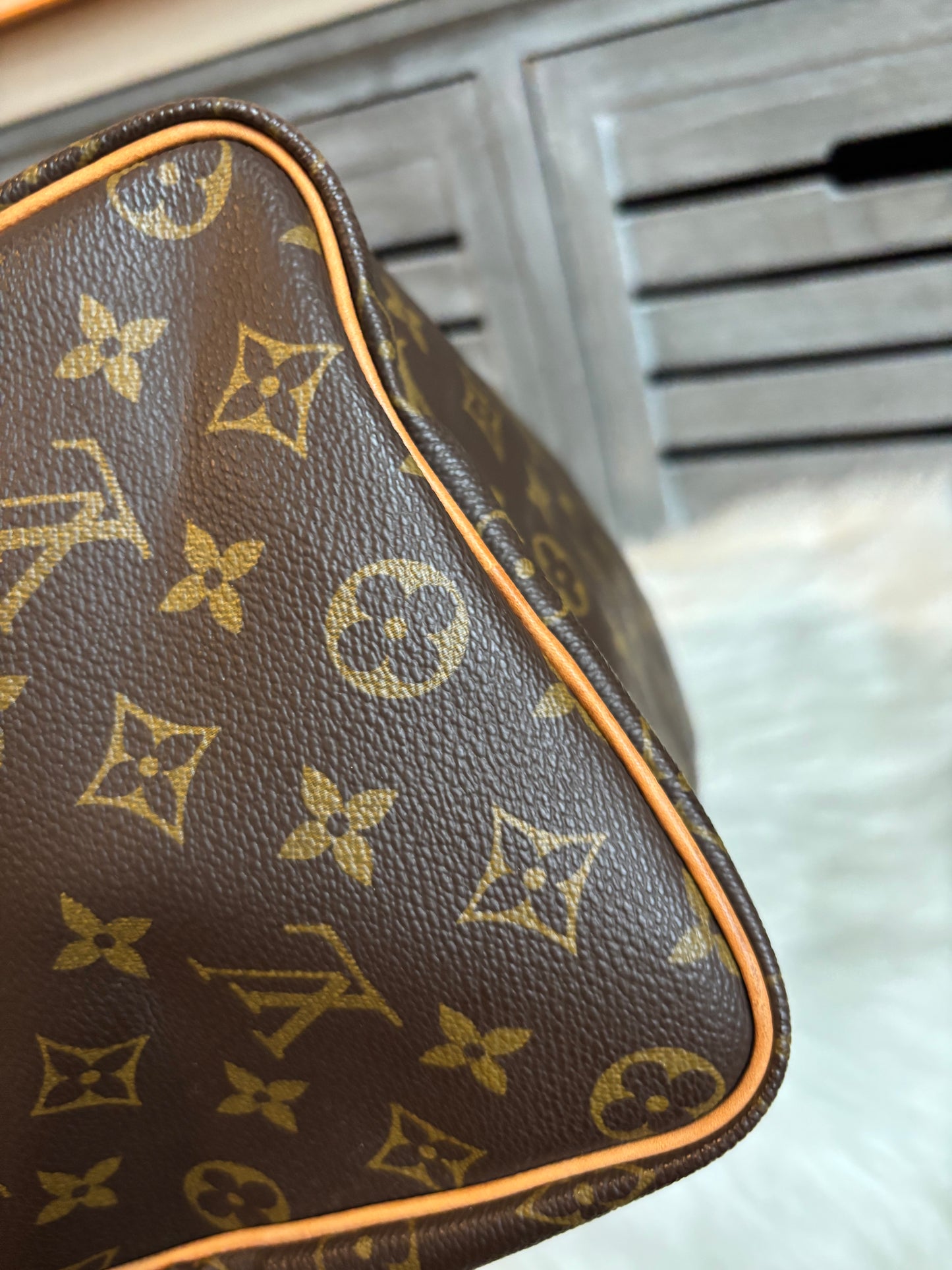 Louis Vuitton Speedy 30