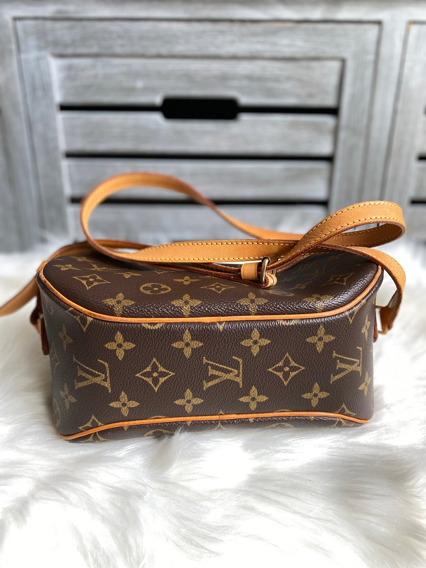 Louis Vuitton Blois