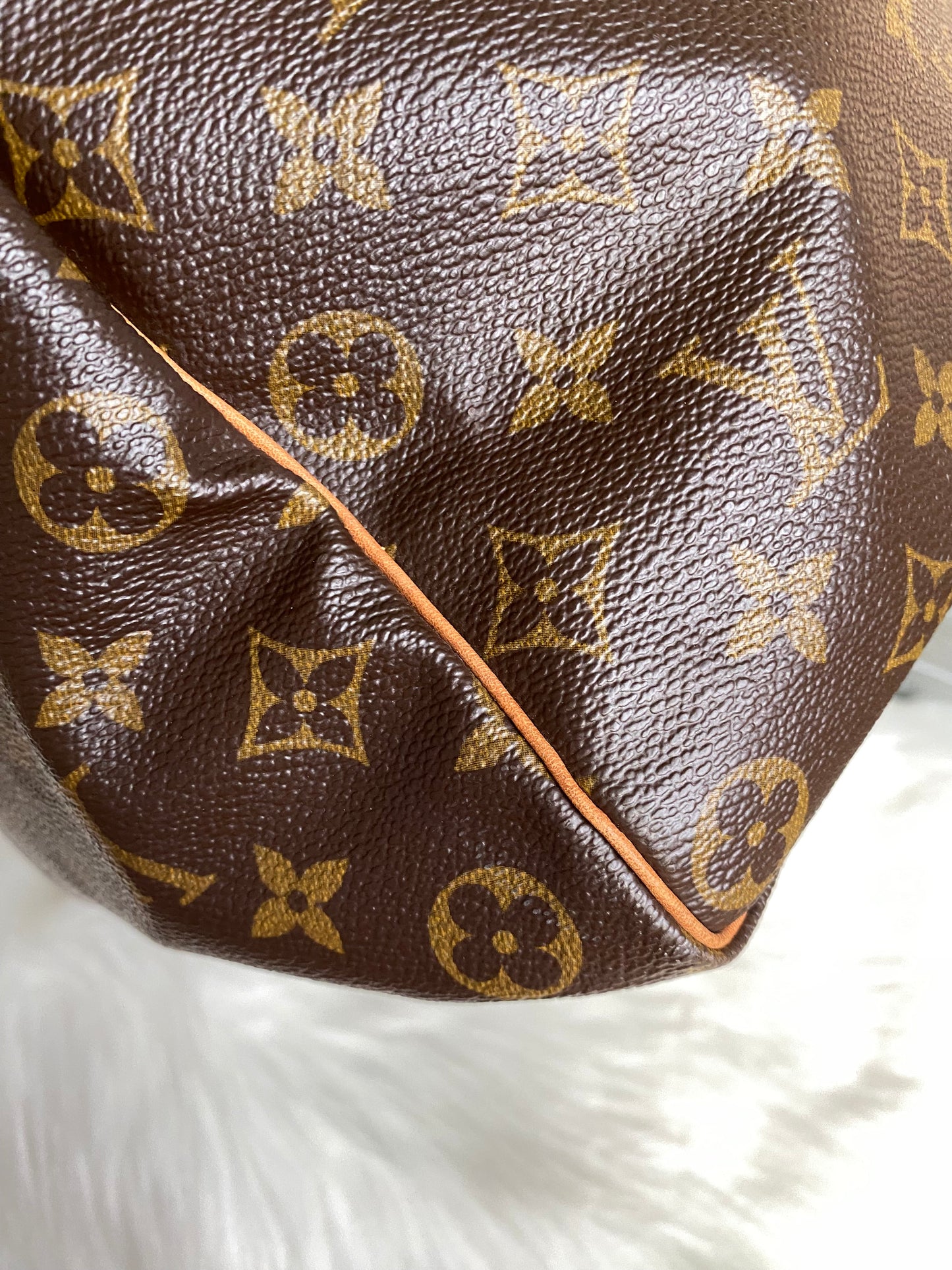 Louis Vuitton Speedy 35