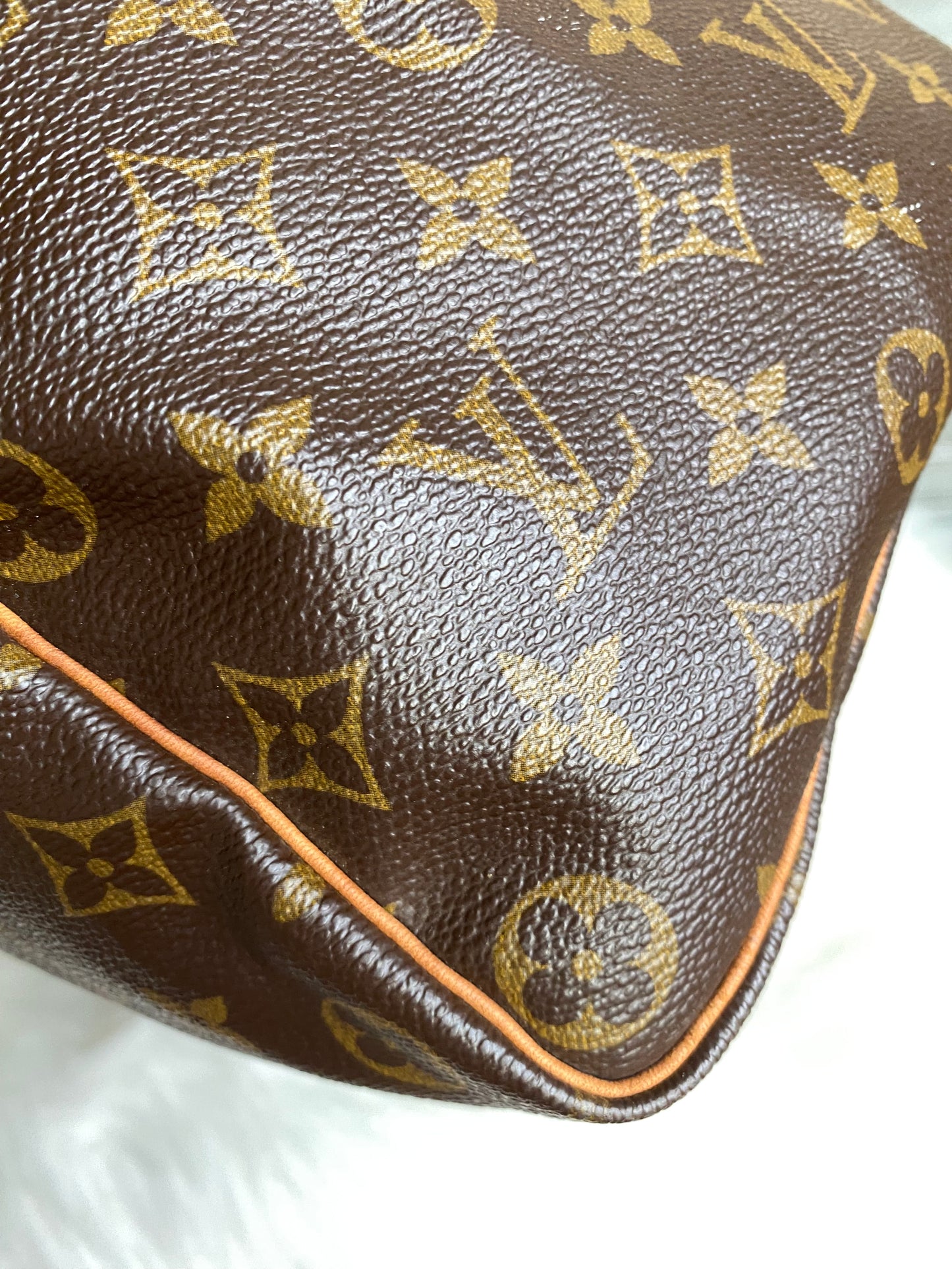 Louis Vuitton Speedy 35