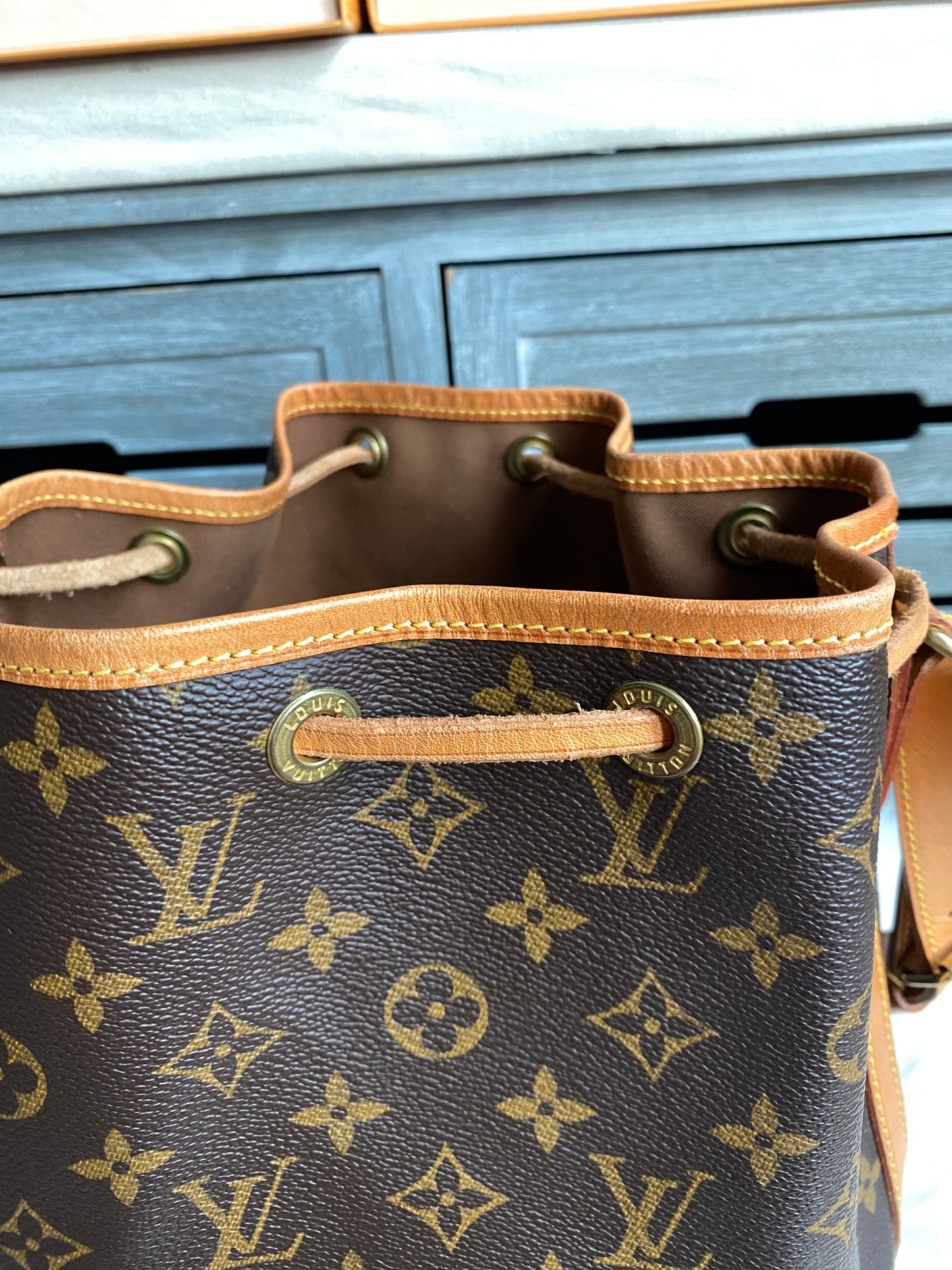 Louis Vuitton Petit Noe