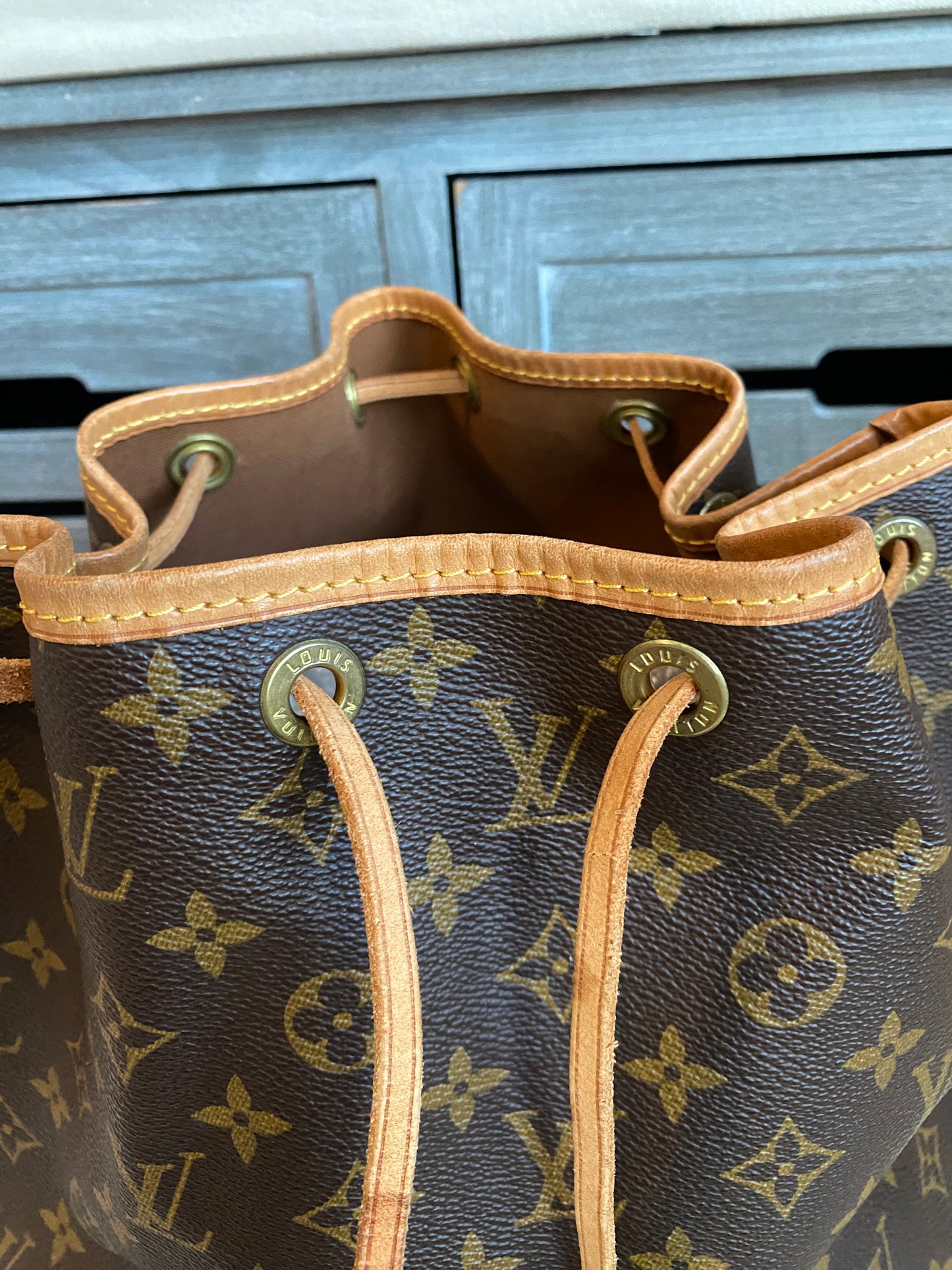 Louis Vuitton Petit Noe