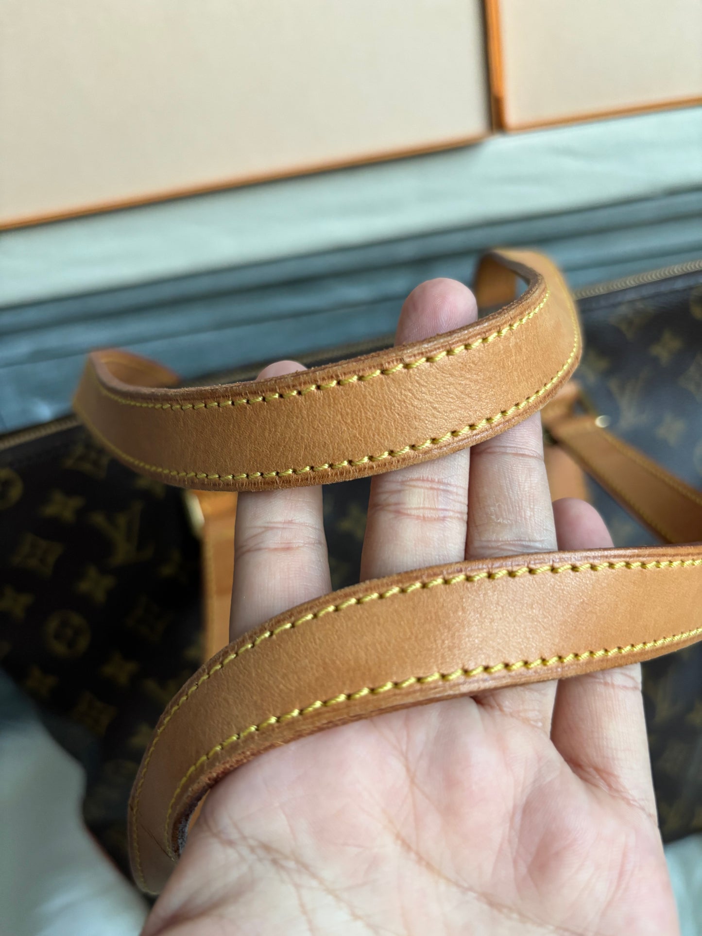 Louis Vuitton Cabas Mezzo