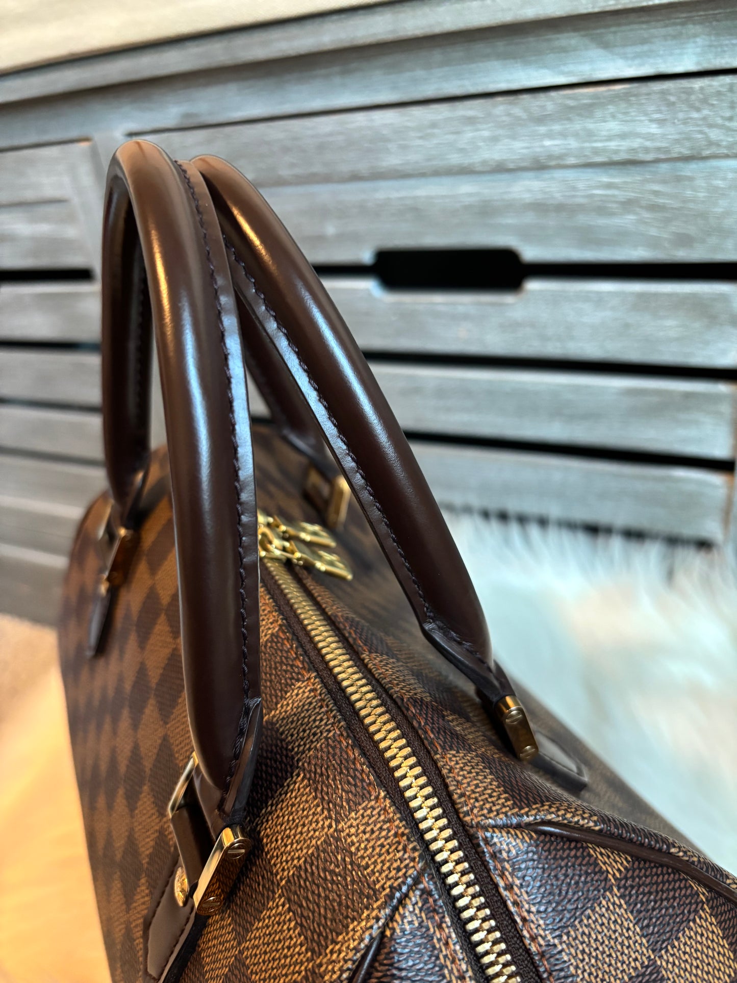 Louis Vuitton Ribera MM