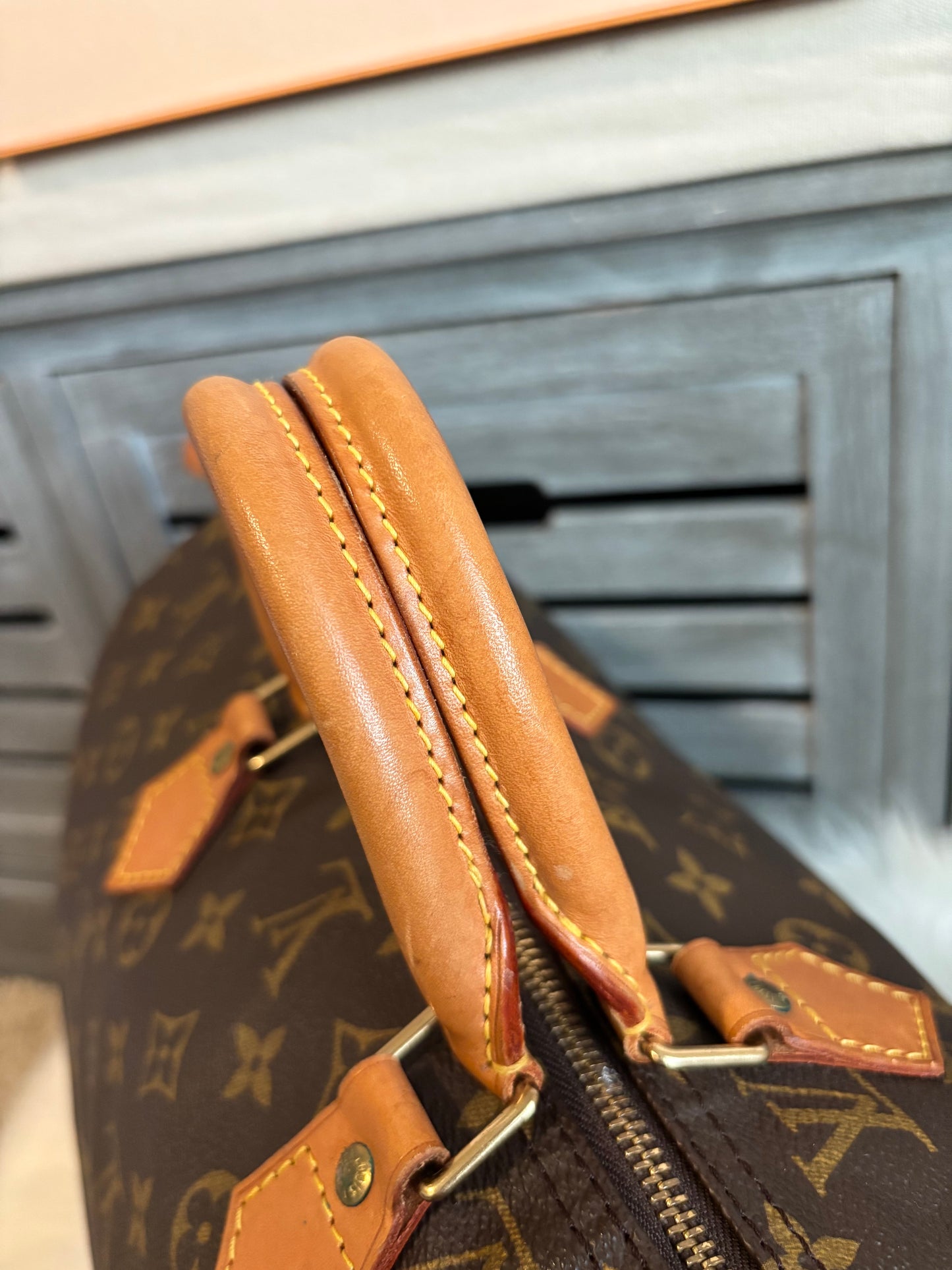 Louis Vuitton Speedy 40