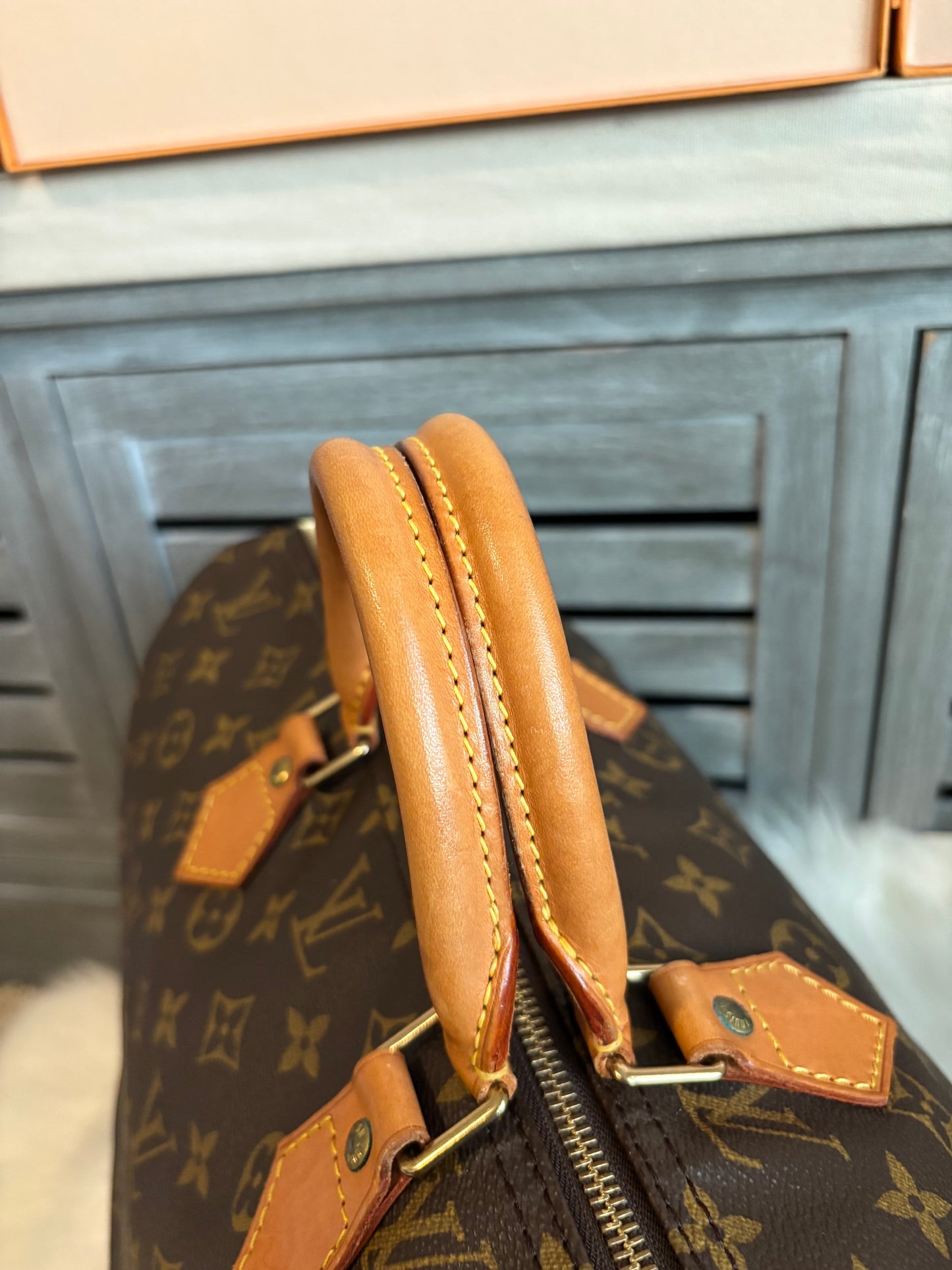 Louis Vuitton Speedy 40