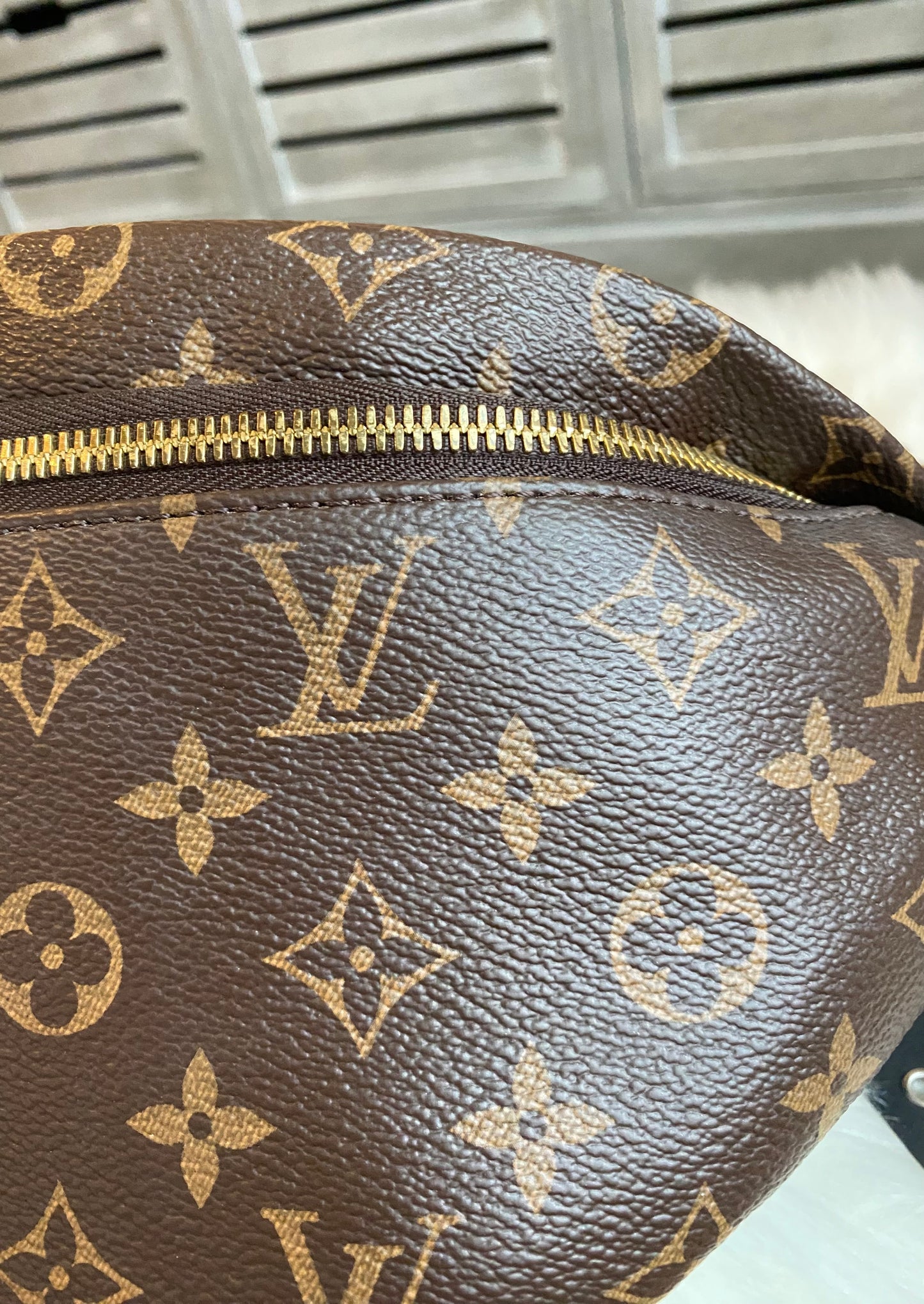 Louis Vuitton Bumbag