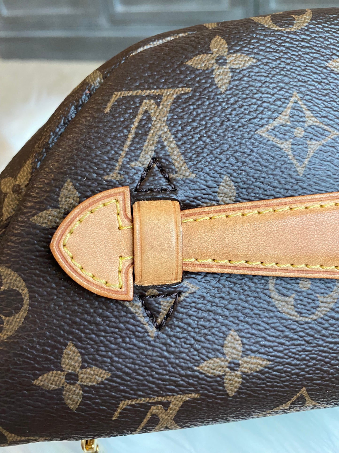 Louis Vuitton Bumbag