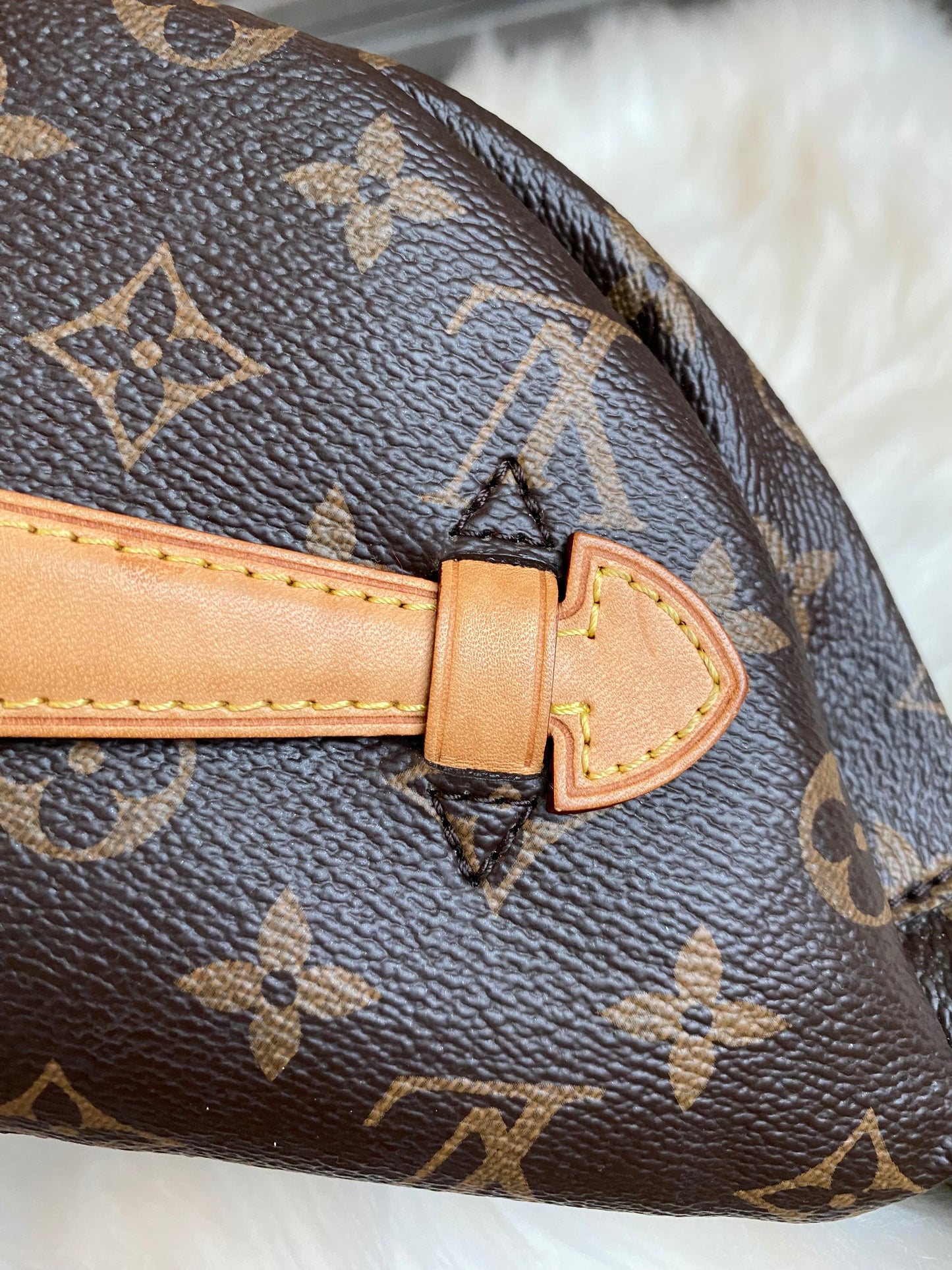 Louis Vuitton Bumbag