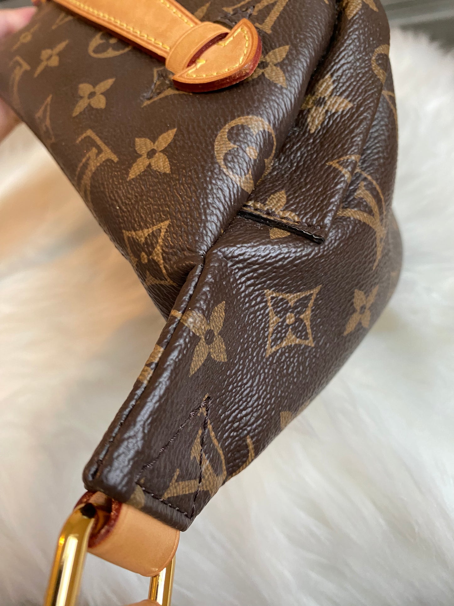 Louis Vuitton Bumbag