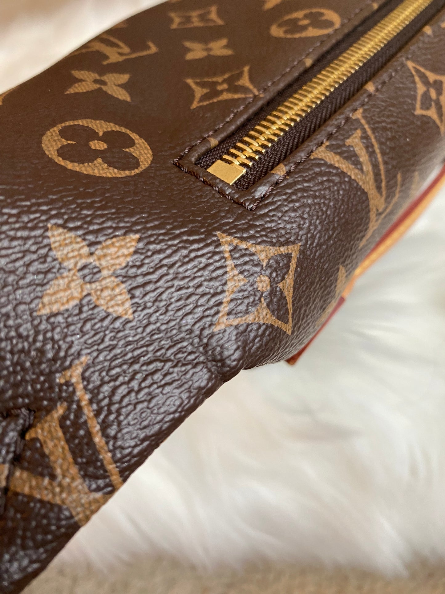 Louis Vuitton Bumbag