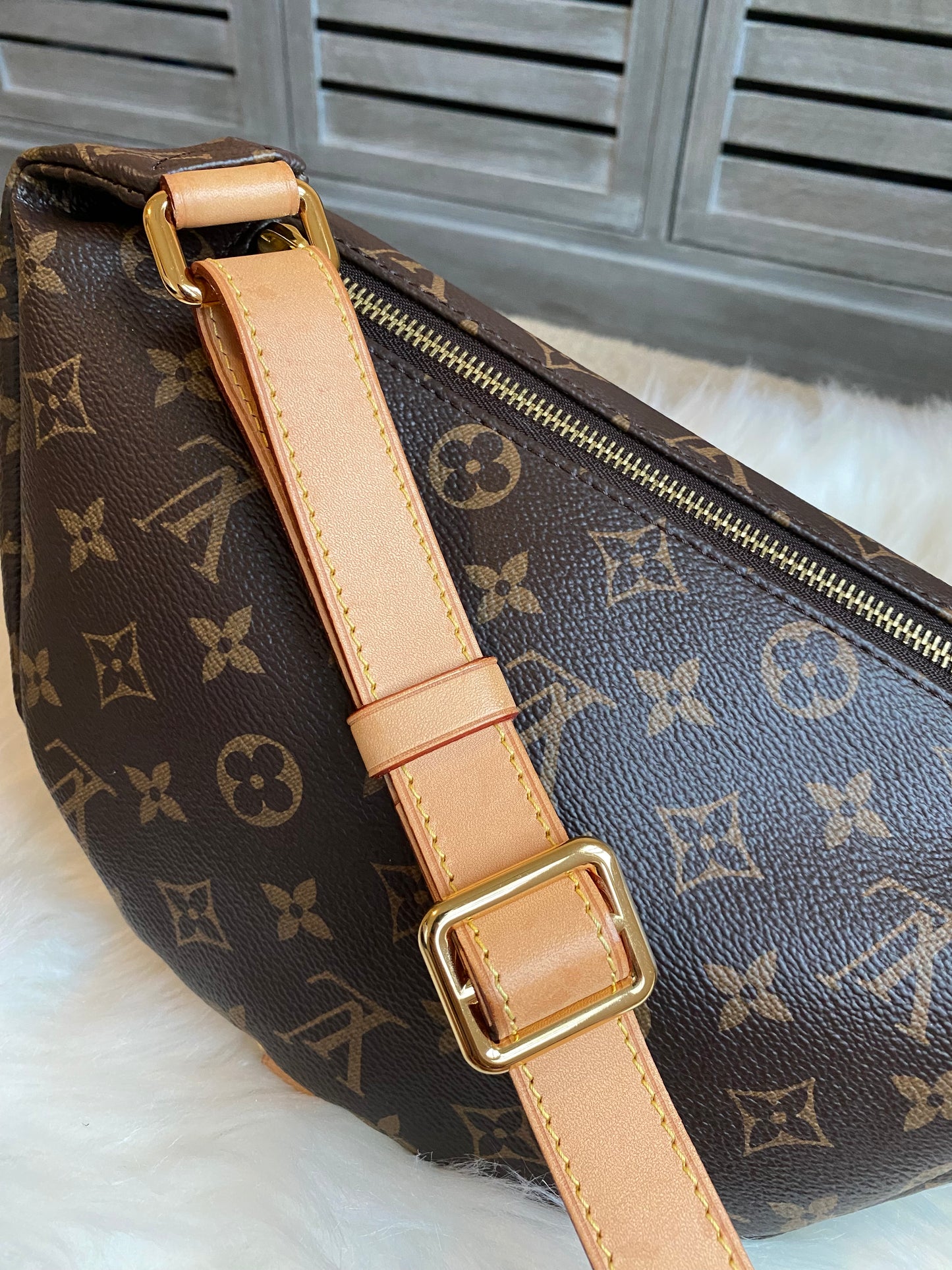 Louis Vuitton Bumbag