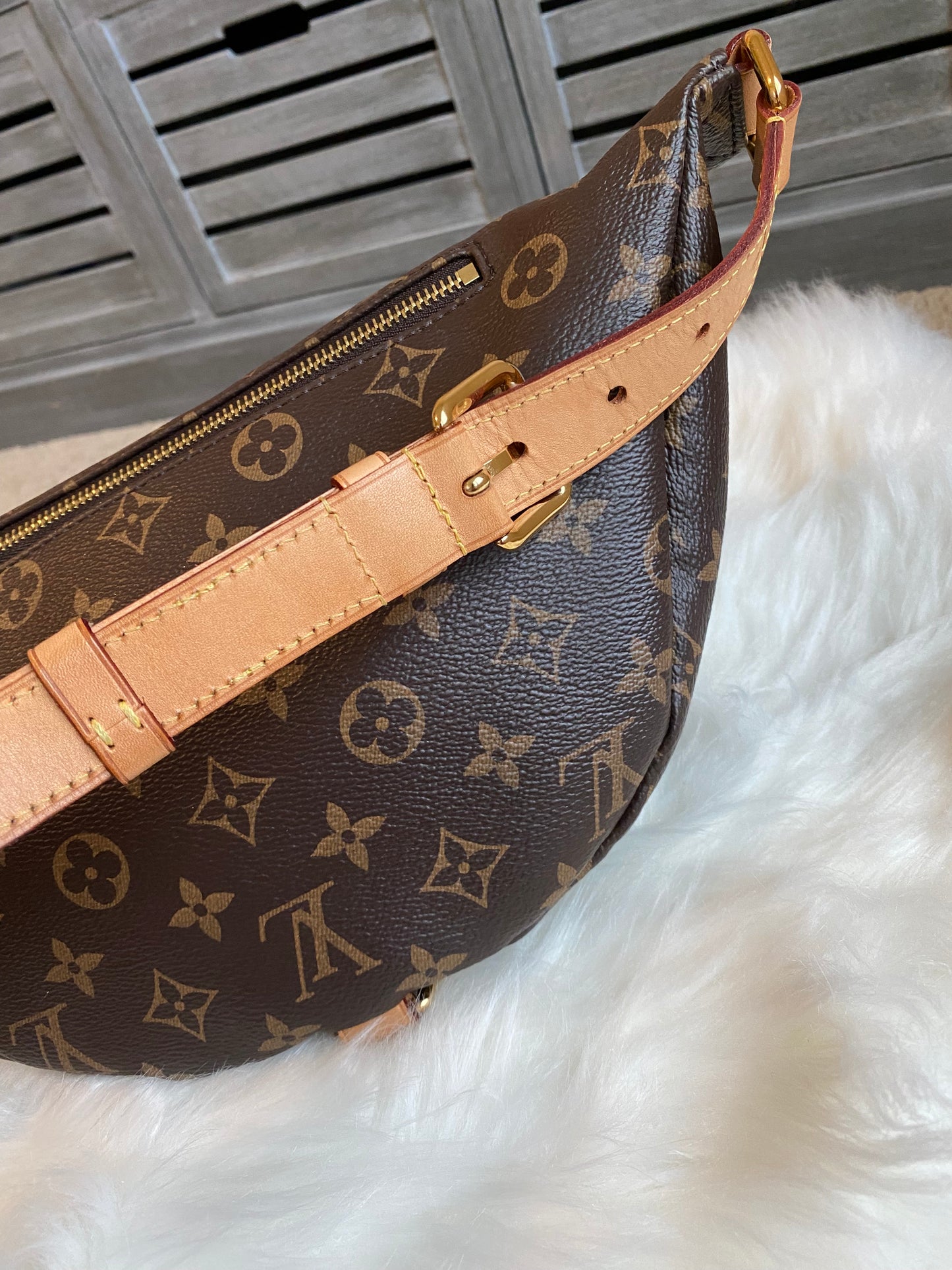 Louis Vuitton Bumbag