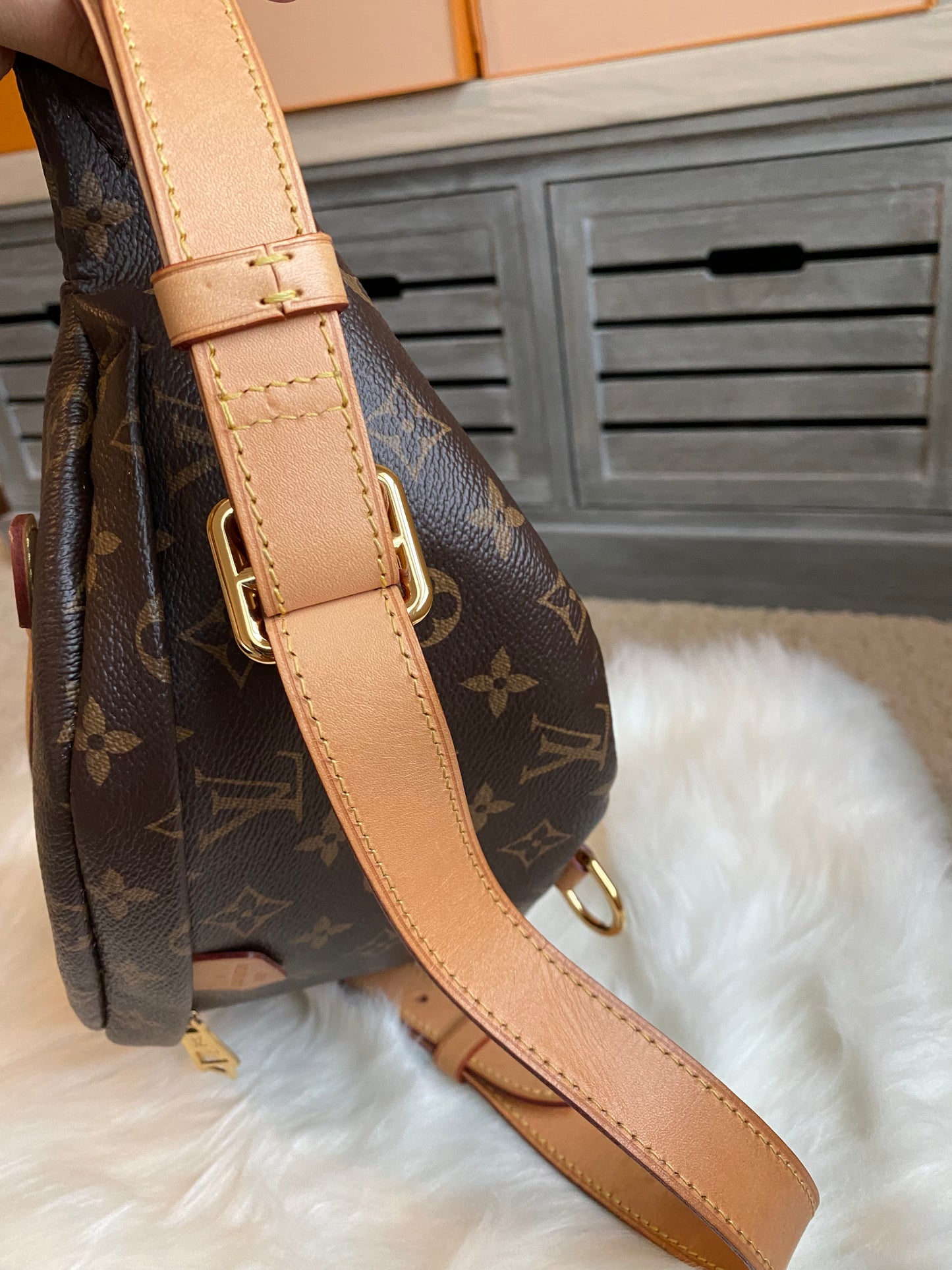 Louis Vuitton Bumbag