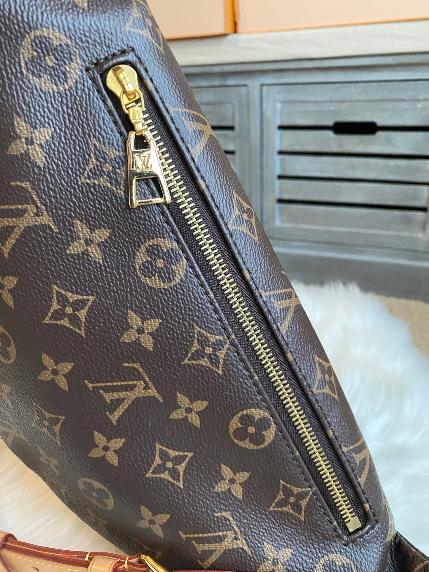 Louis Vuitton Bumbag