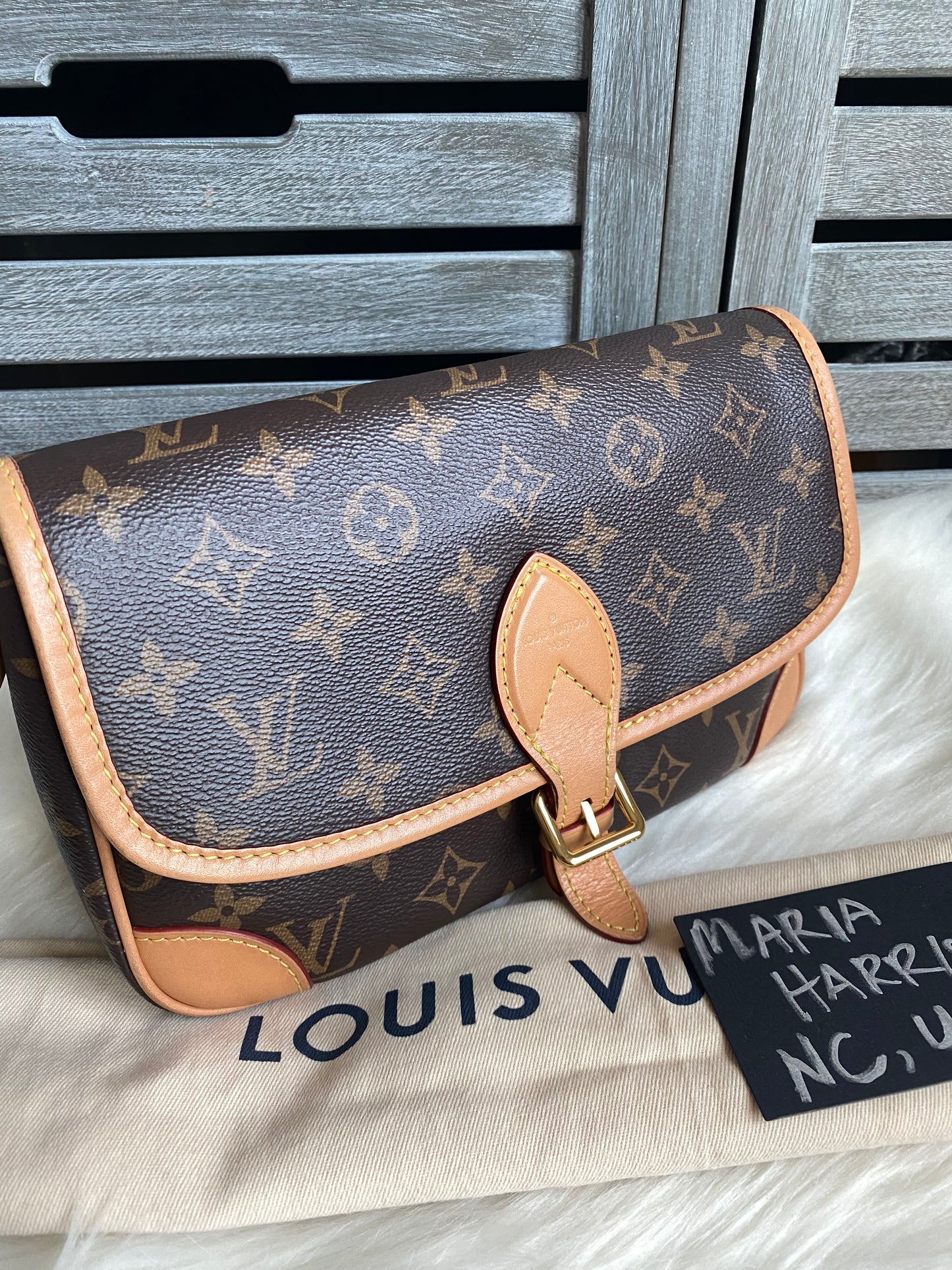 Louis Vuitton Monogram Diane