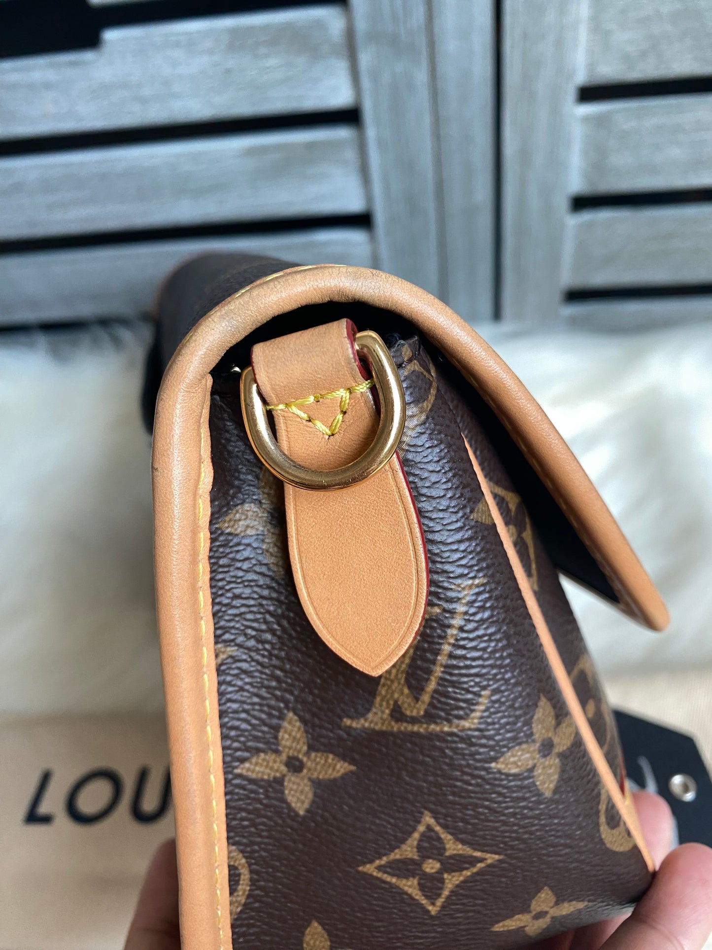 Louis Vuitton Monogram Diane
