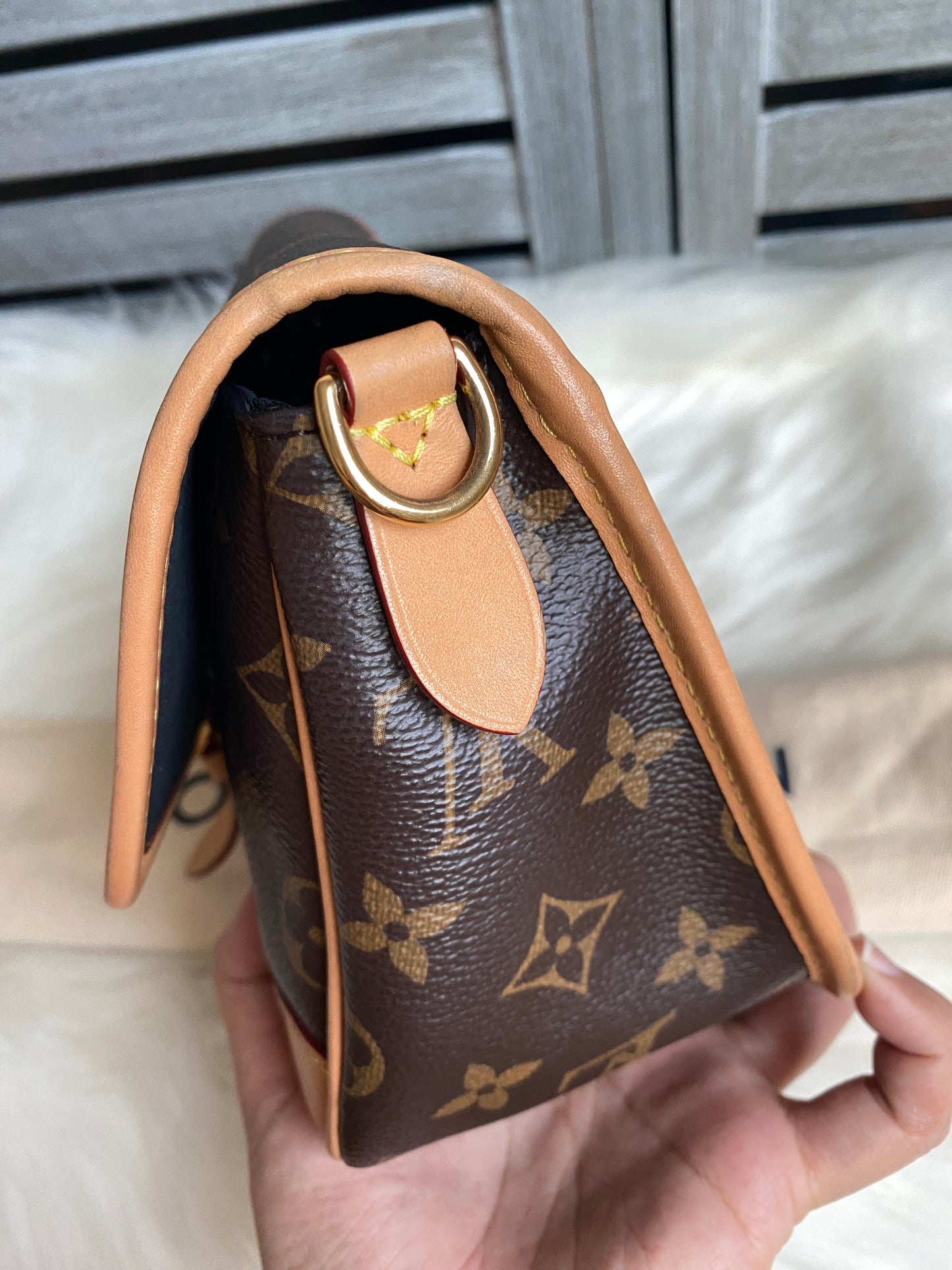 Louis Vuitton Monogram Diane