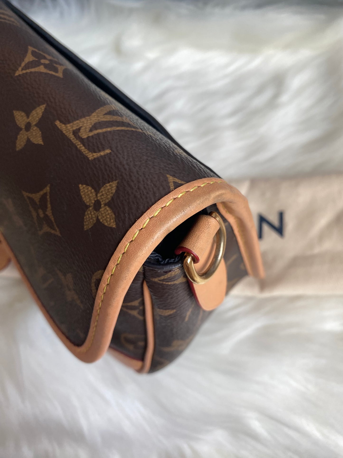 Louis Vuitton Monogram Diane