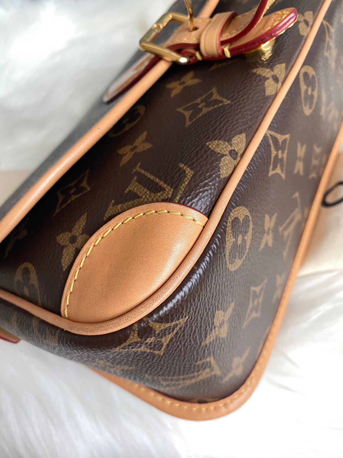 Louis Vuitton Monogram Diane