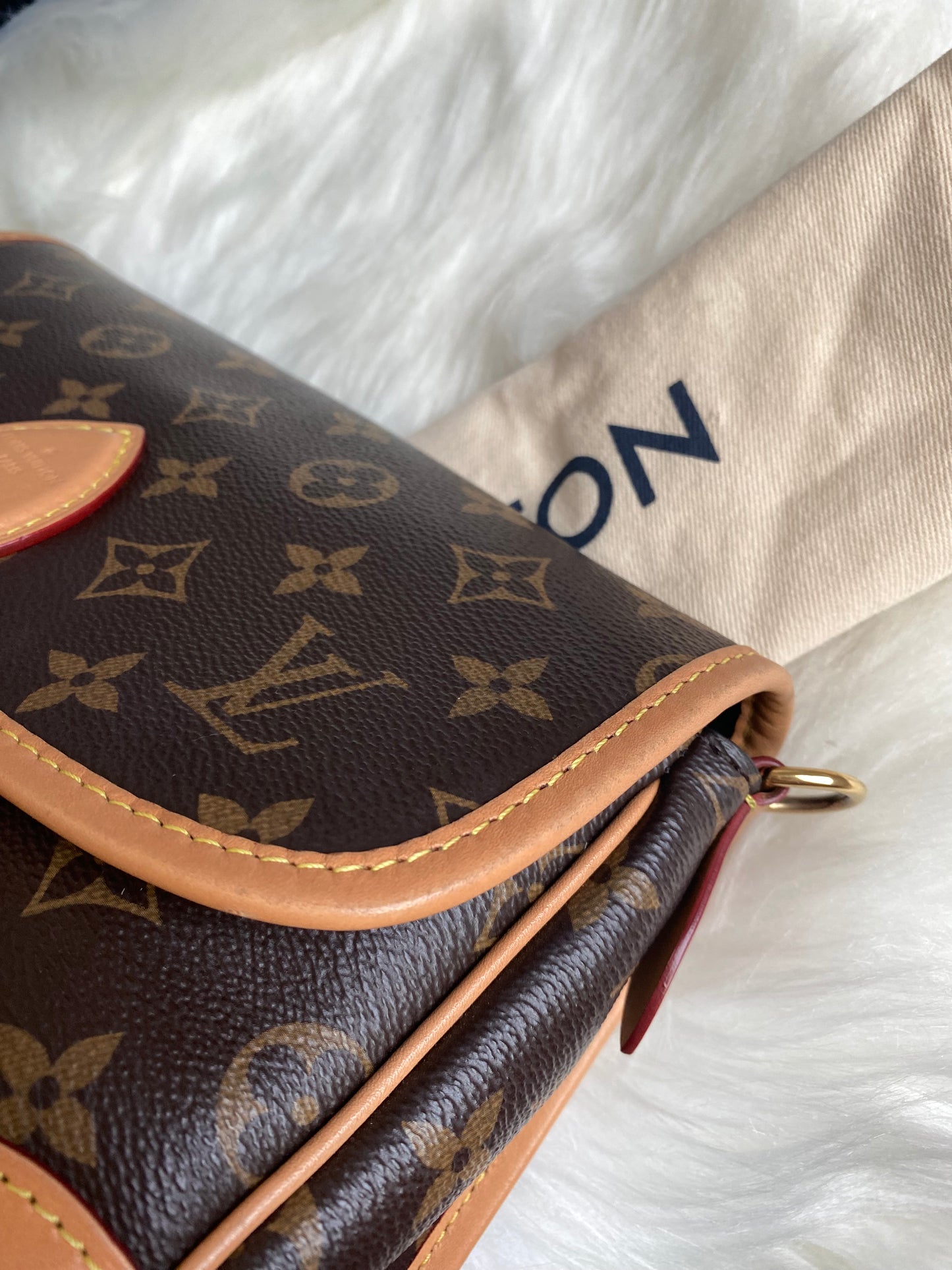 Louis Vuitton Monogram Diane