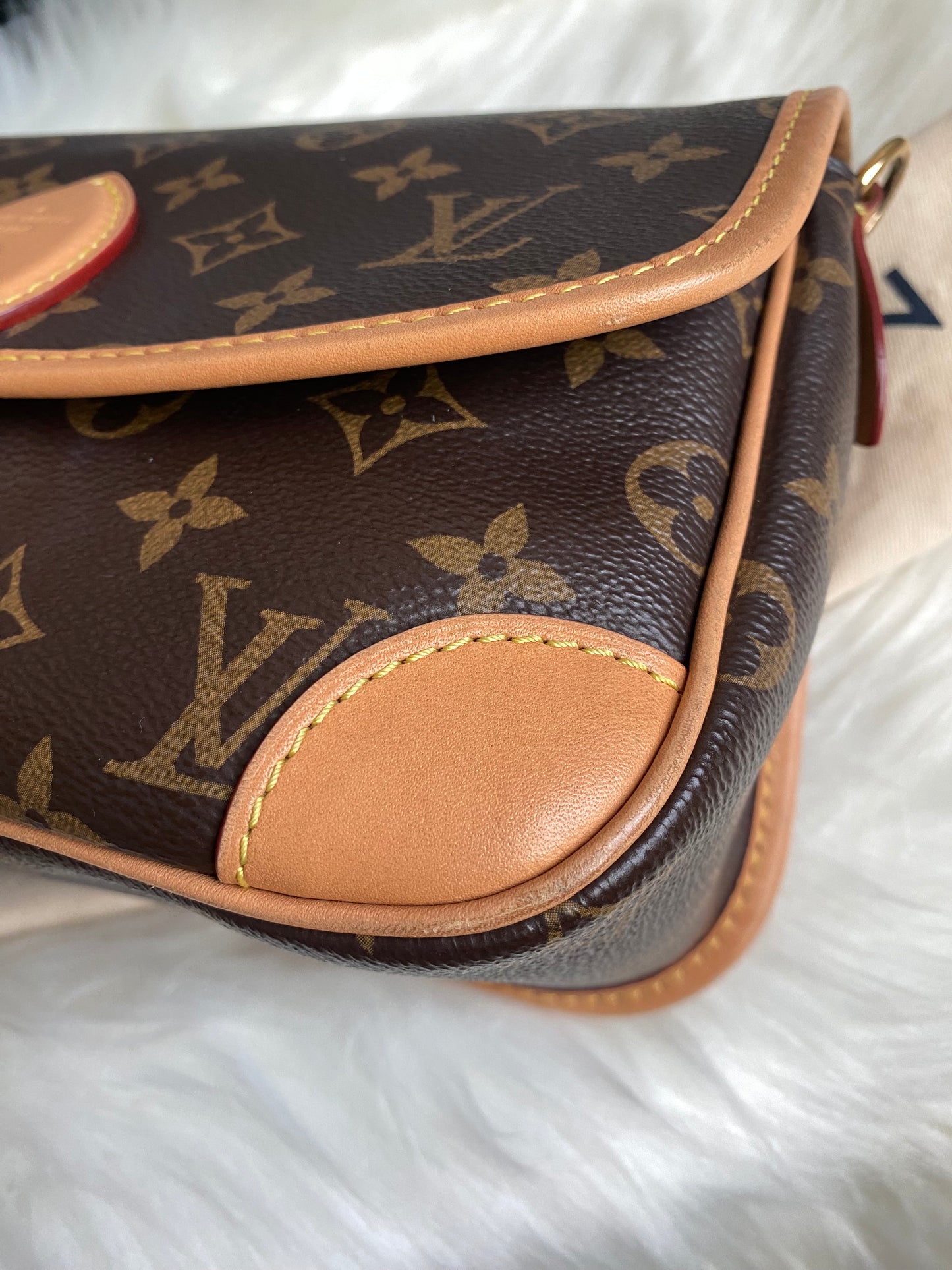 Louis Vuitton Monogram Diane