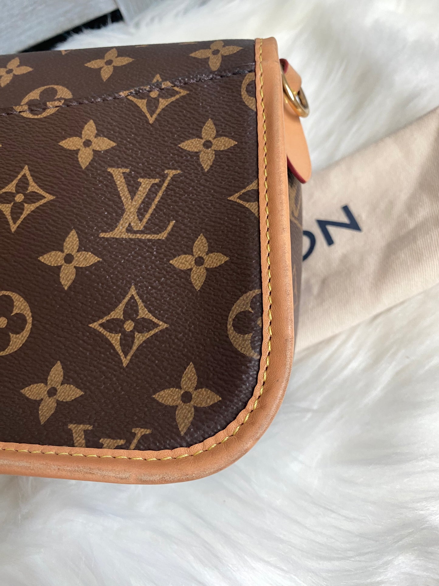 Louis Vuitton Monogram Diane