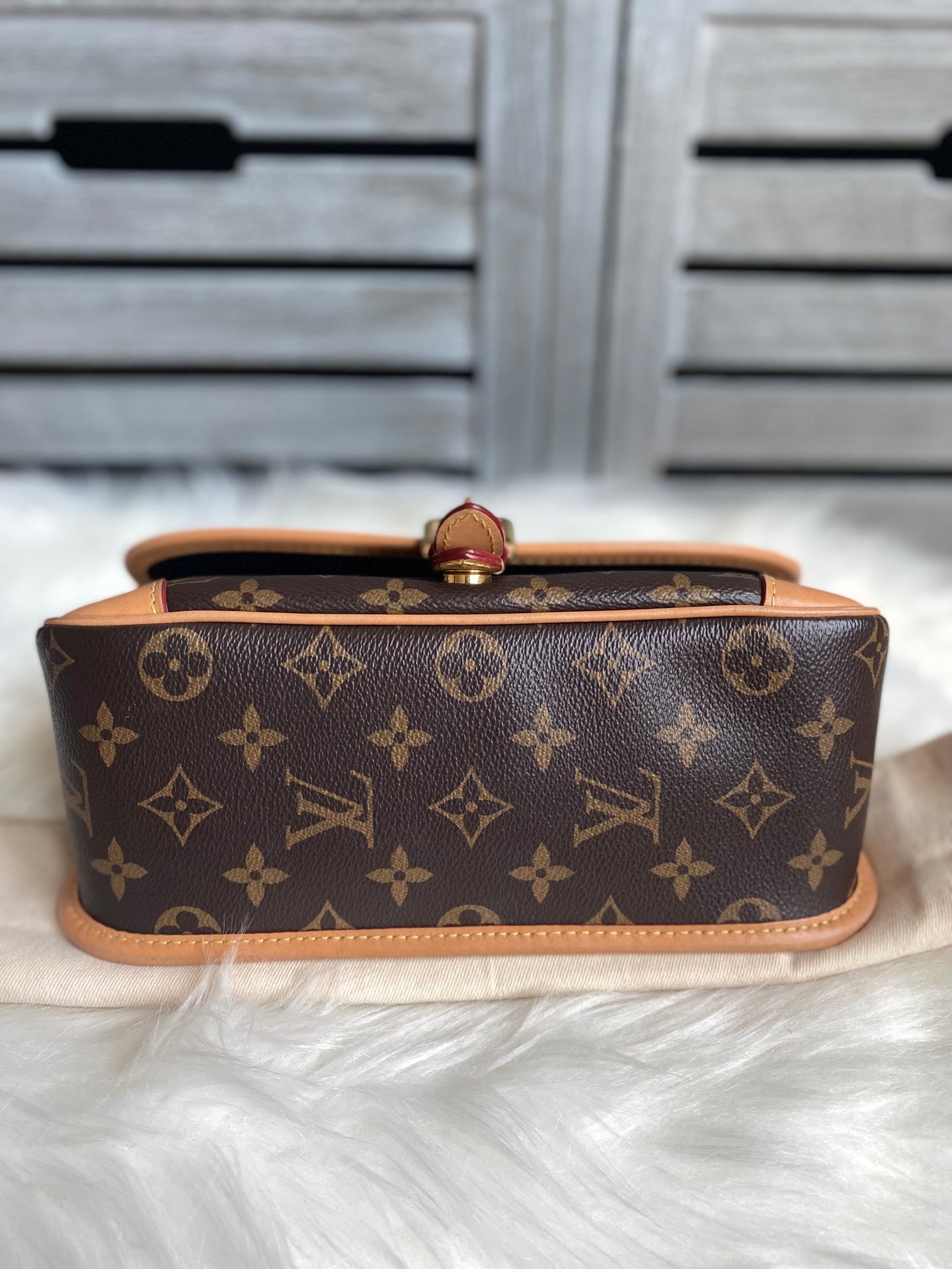 Louis Vuitton Monogram Diane