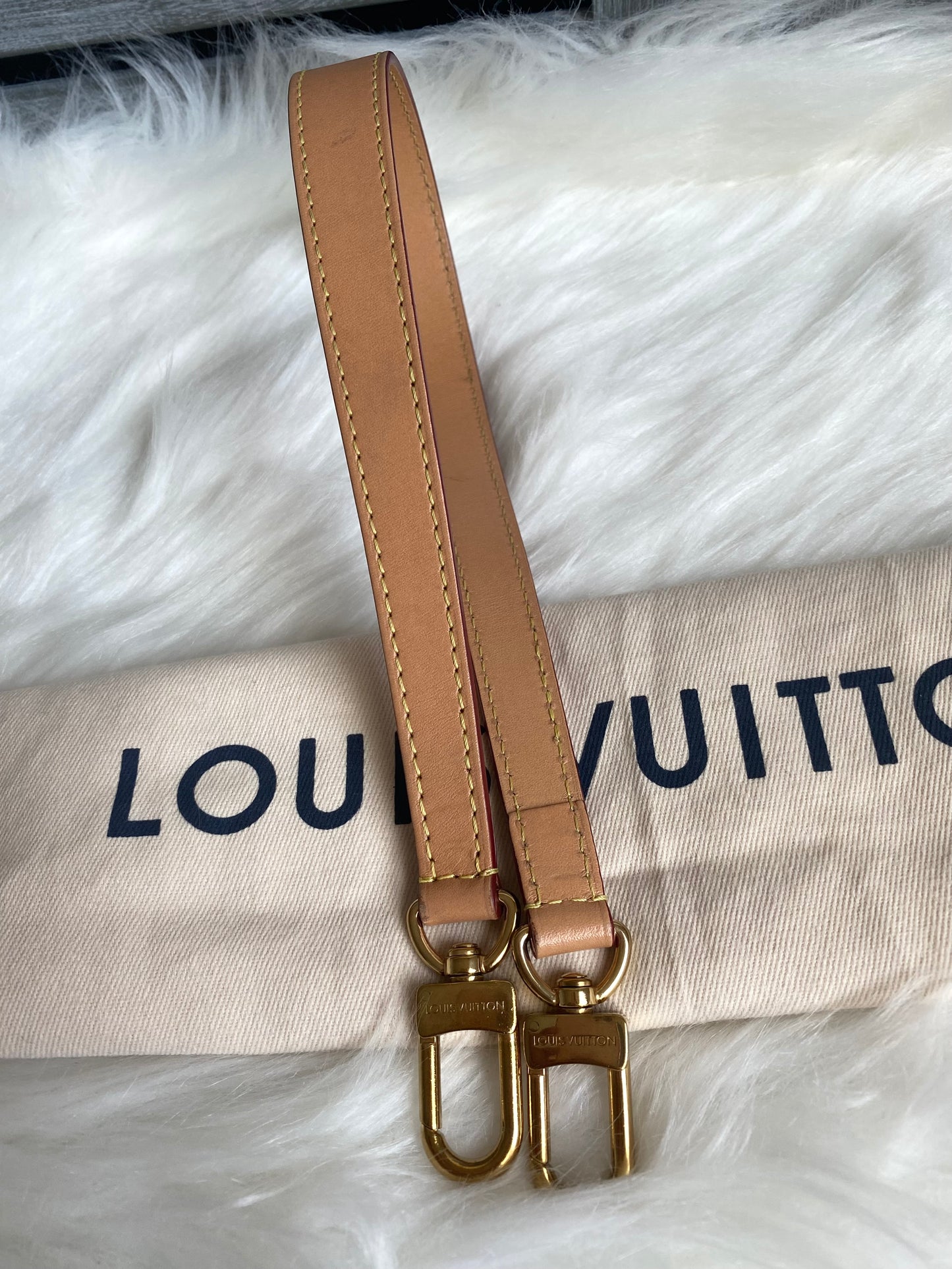 Louis Vuitton Monogram Diane