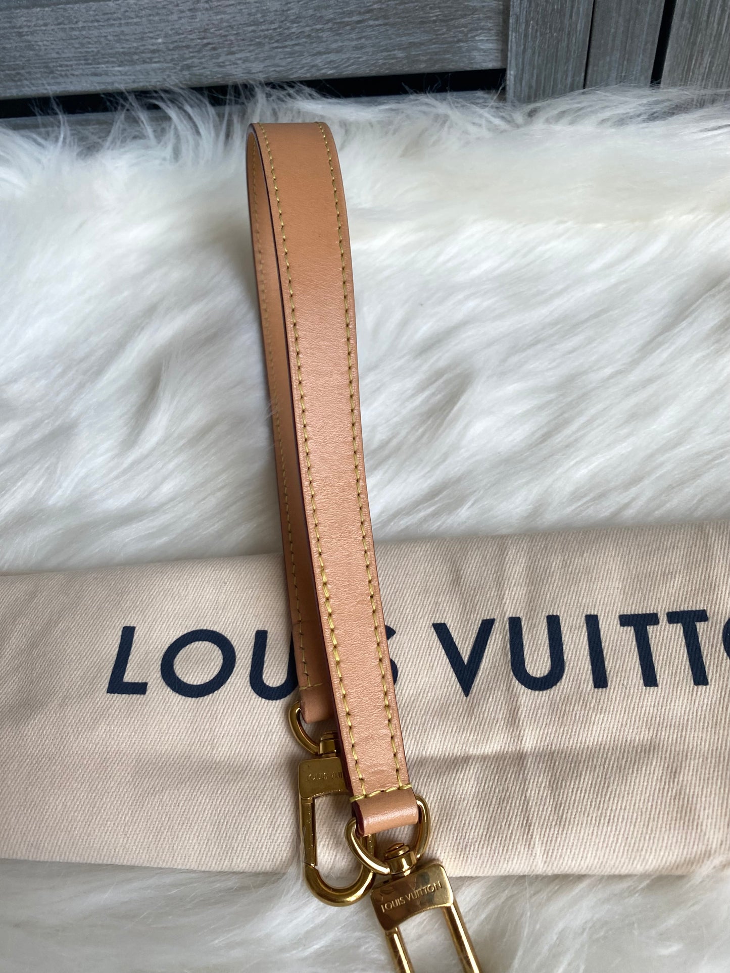 Louis Vuitton Monogram Diane