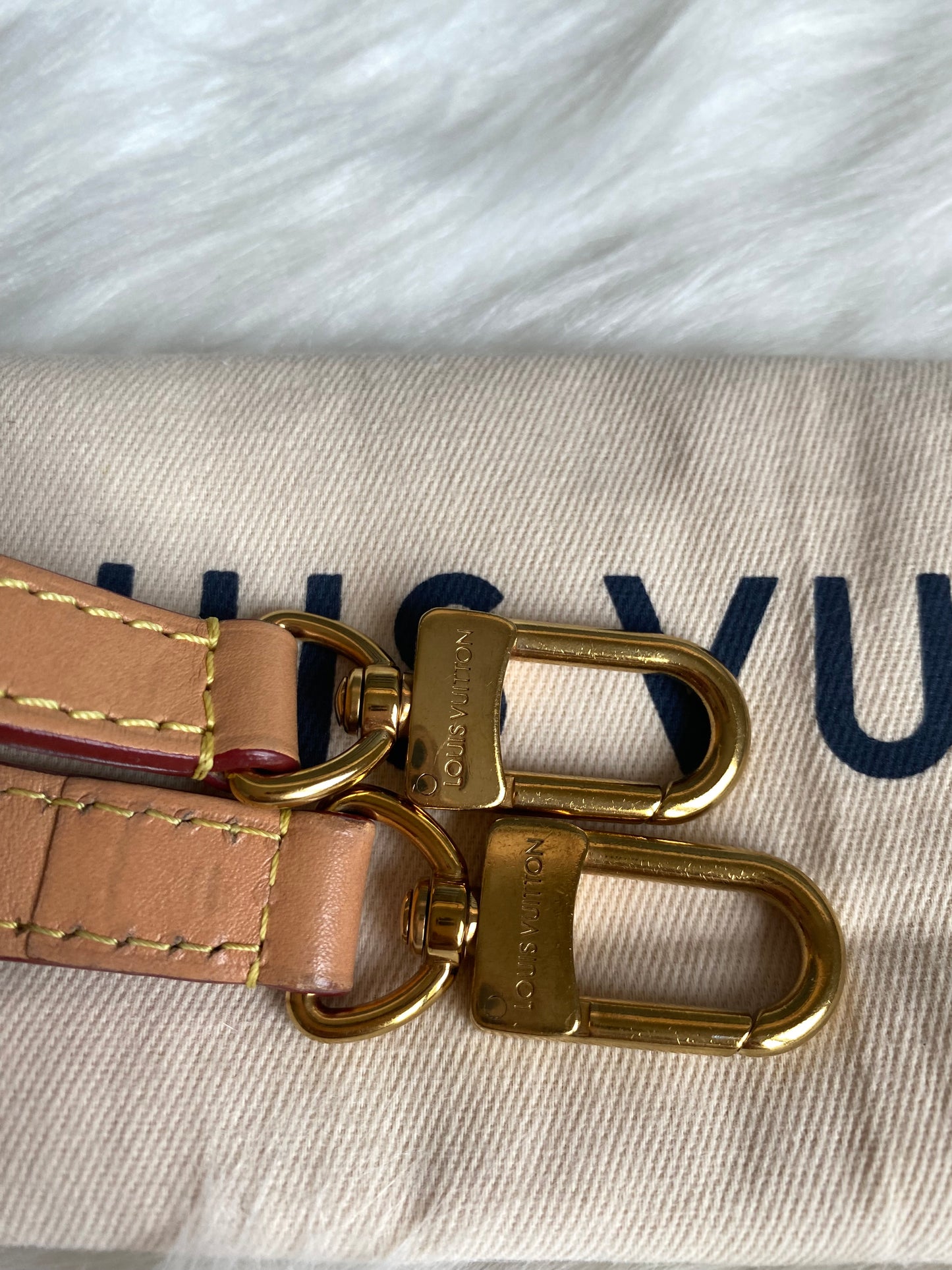 Louis Vuitton Monogram Diane