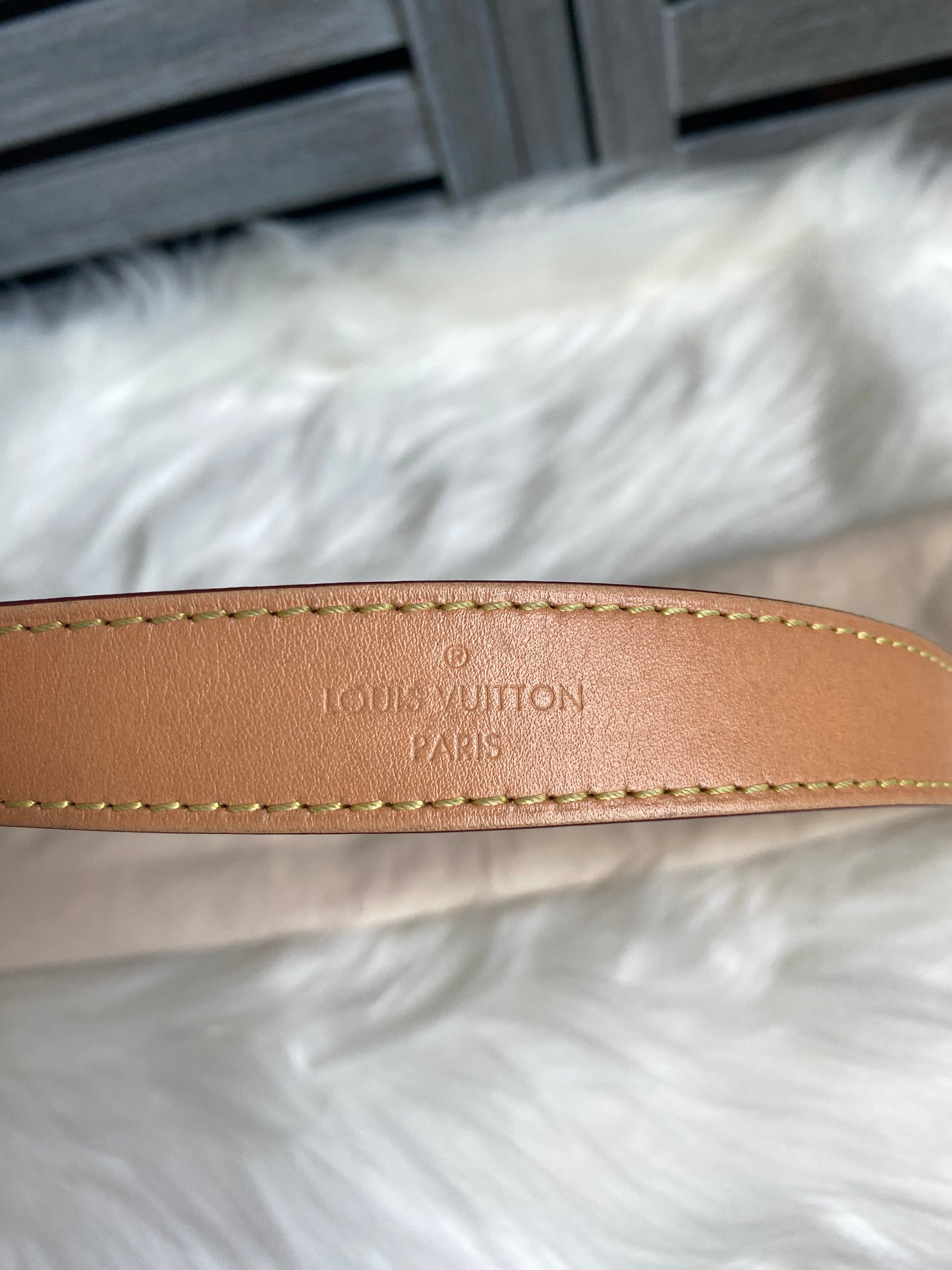 Louis Vuitton Monogram Diane