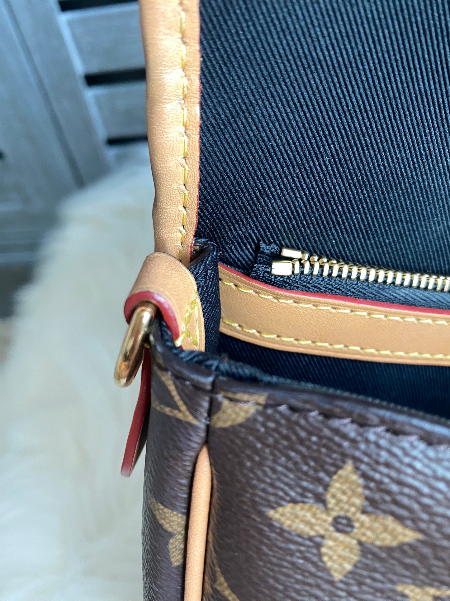 Louis Vuitton Monogram Diane