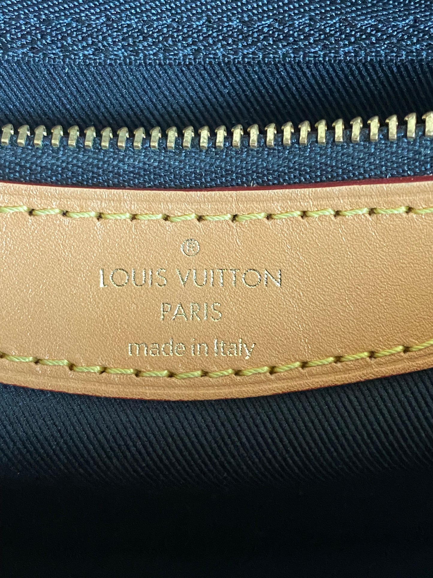 Louis Vuitton Monogram Diane