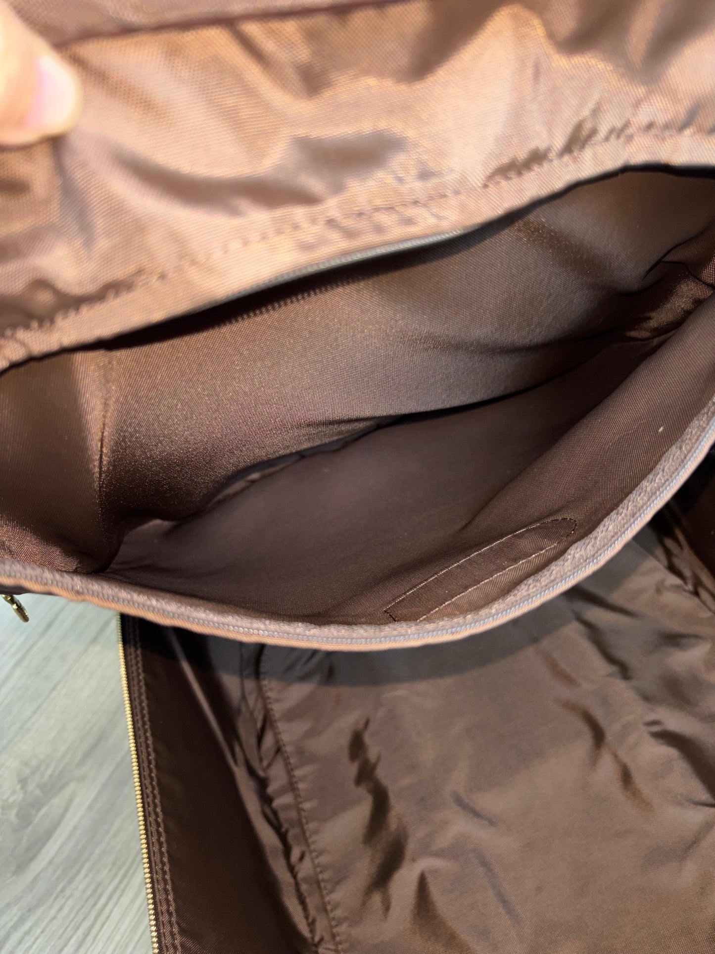 Louis Vuitton Pegase 45