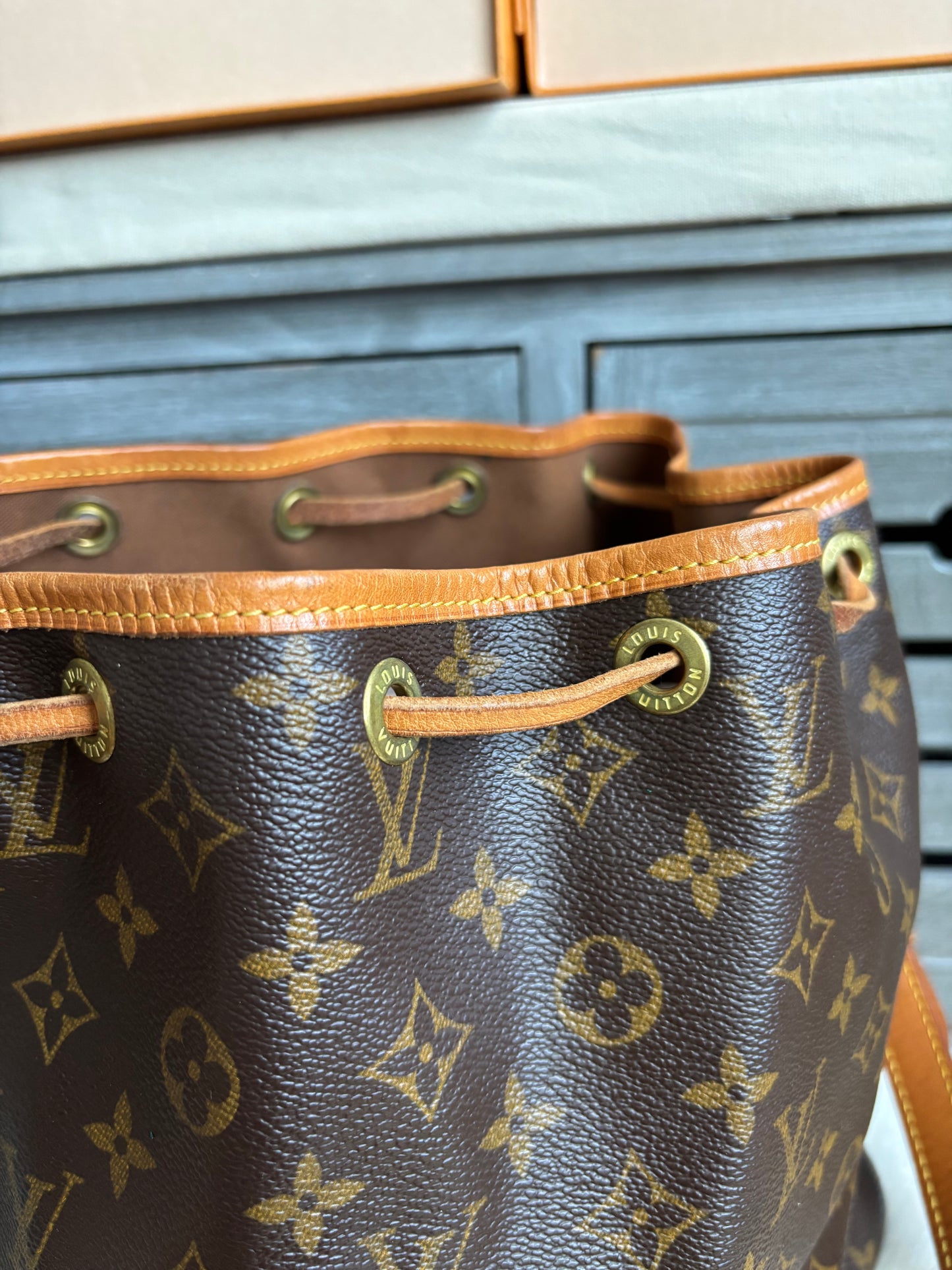Louis Vuitton Petit Noe