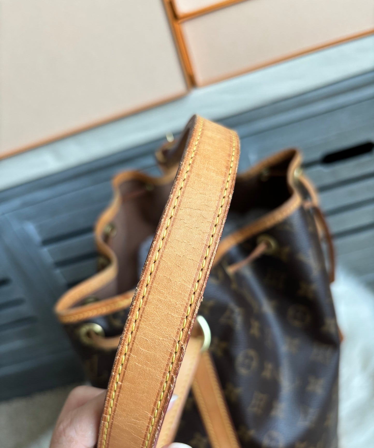 Louis Vuitton Noe GM
